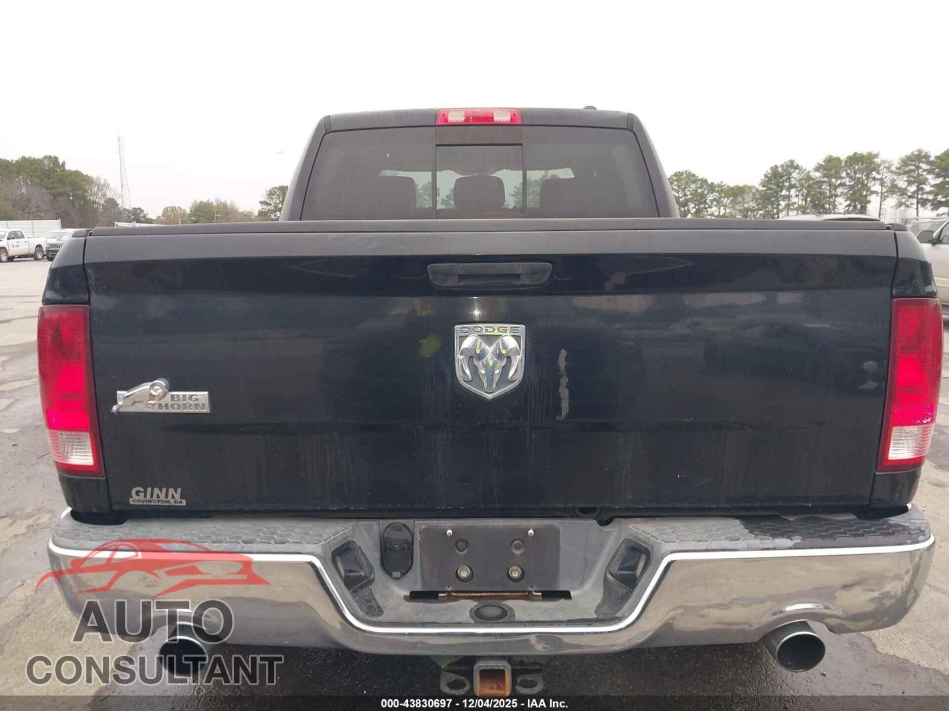 DODGE RAM 1500 2009 - 1D3HB13T09J501719