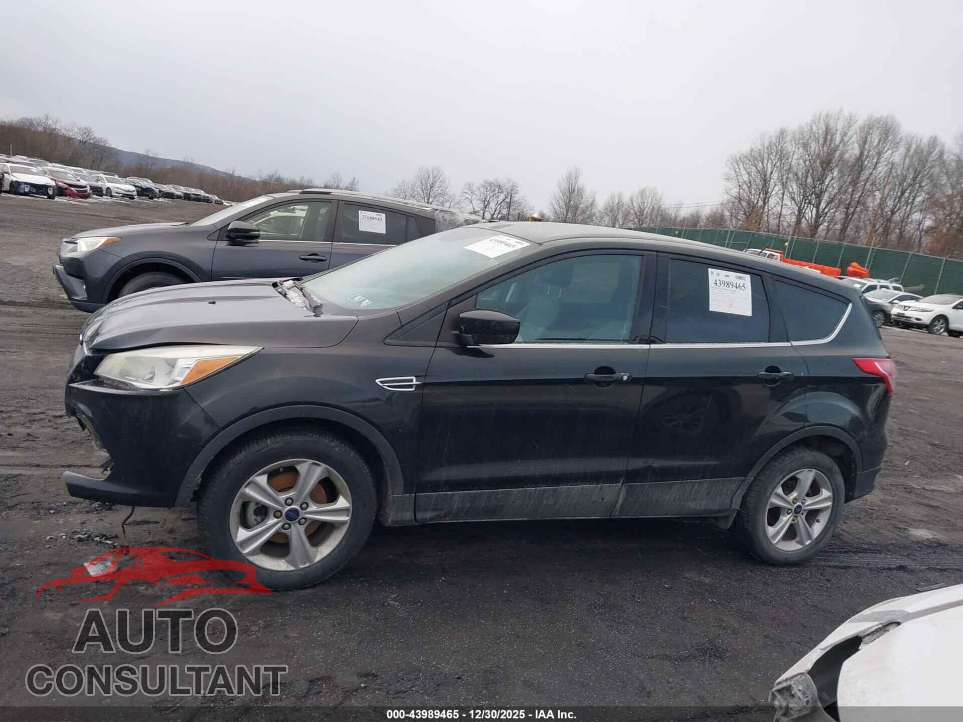 FORD ESCAPE 2014 - 1FMCU0GX4EUB04328
