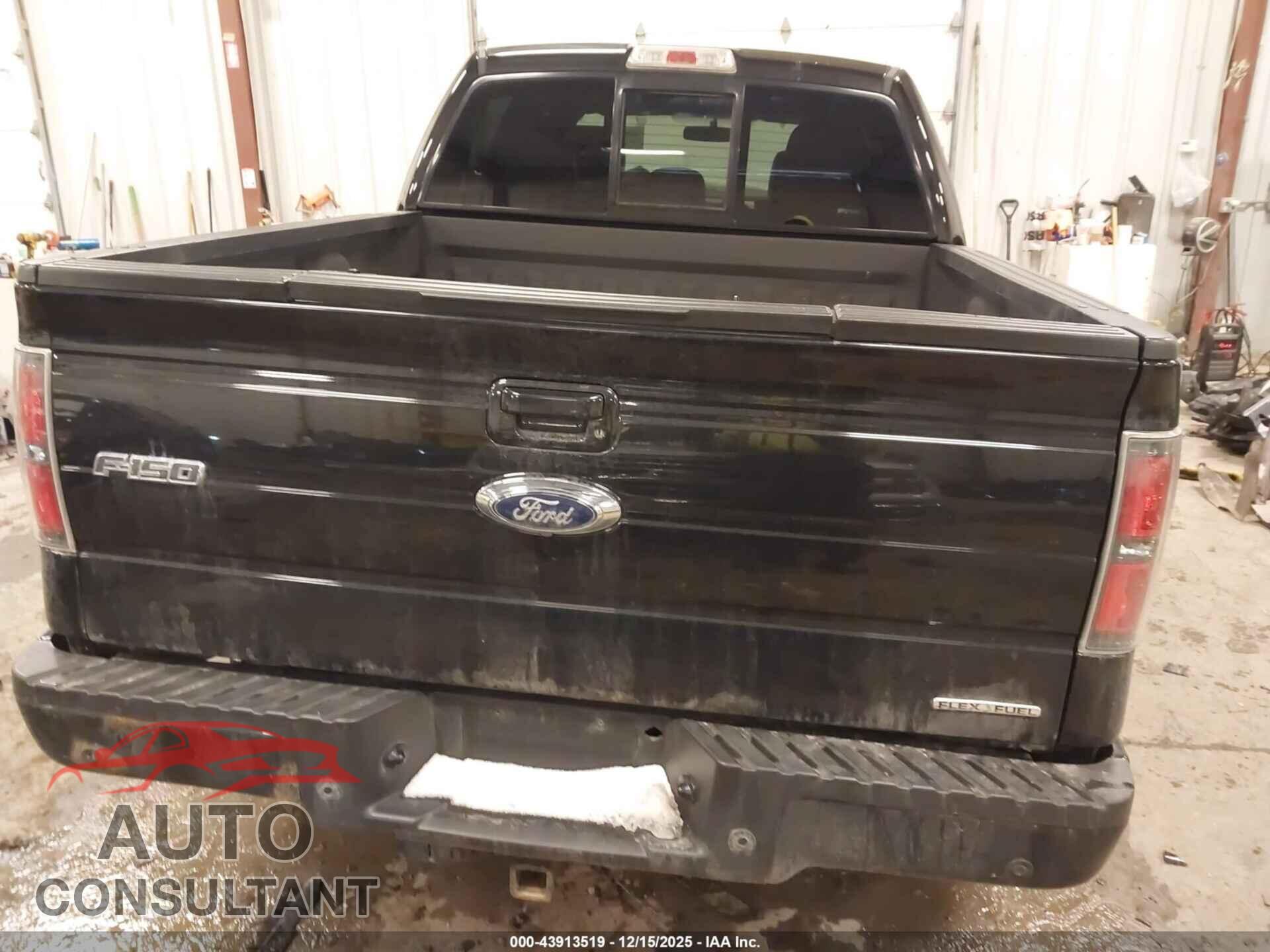 FORD F-150 2013 - 1FTFW1EF7DFD20205