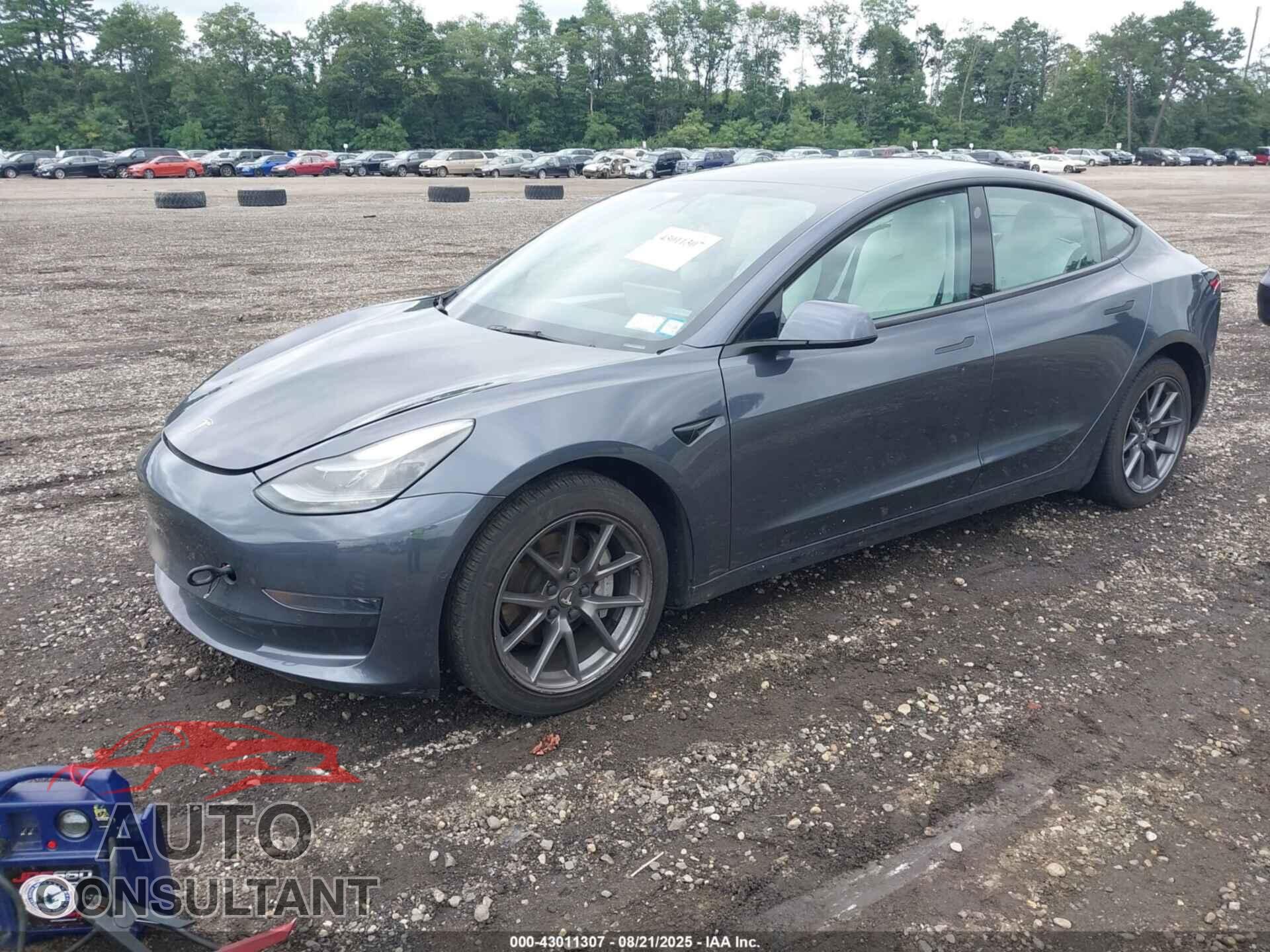 TESLA MODEL 3 2022 - 5YJ3E1EA0NF174276