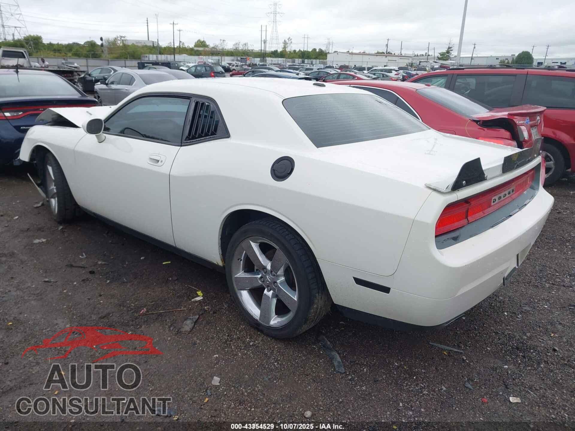 DODGE CHALLENGER 2009 - 2B3LJ54T39H572394