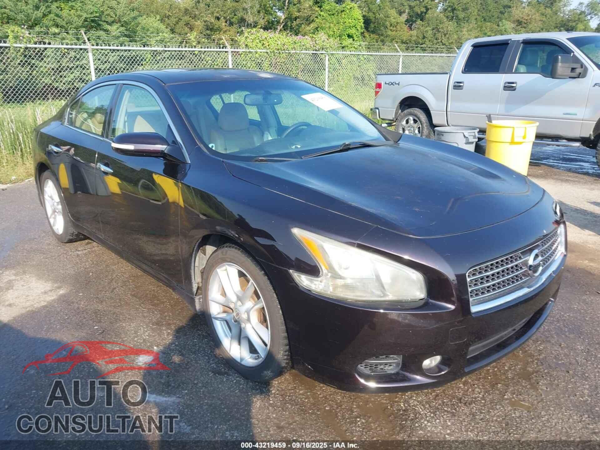 NISSAN MAXIMA 2011 - 1N4AA5AP3BC844308