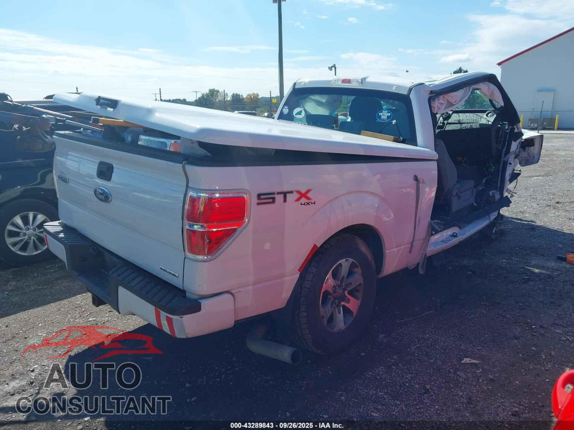FORD F-150 2013 - 1FTFX1EF3DFD61461