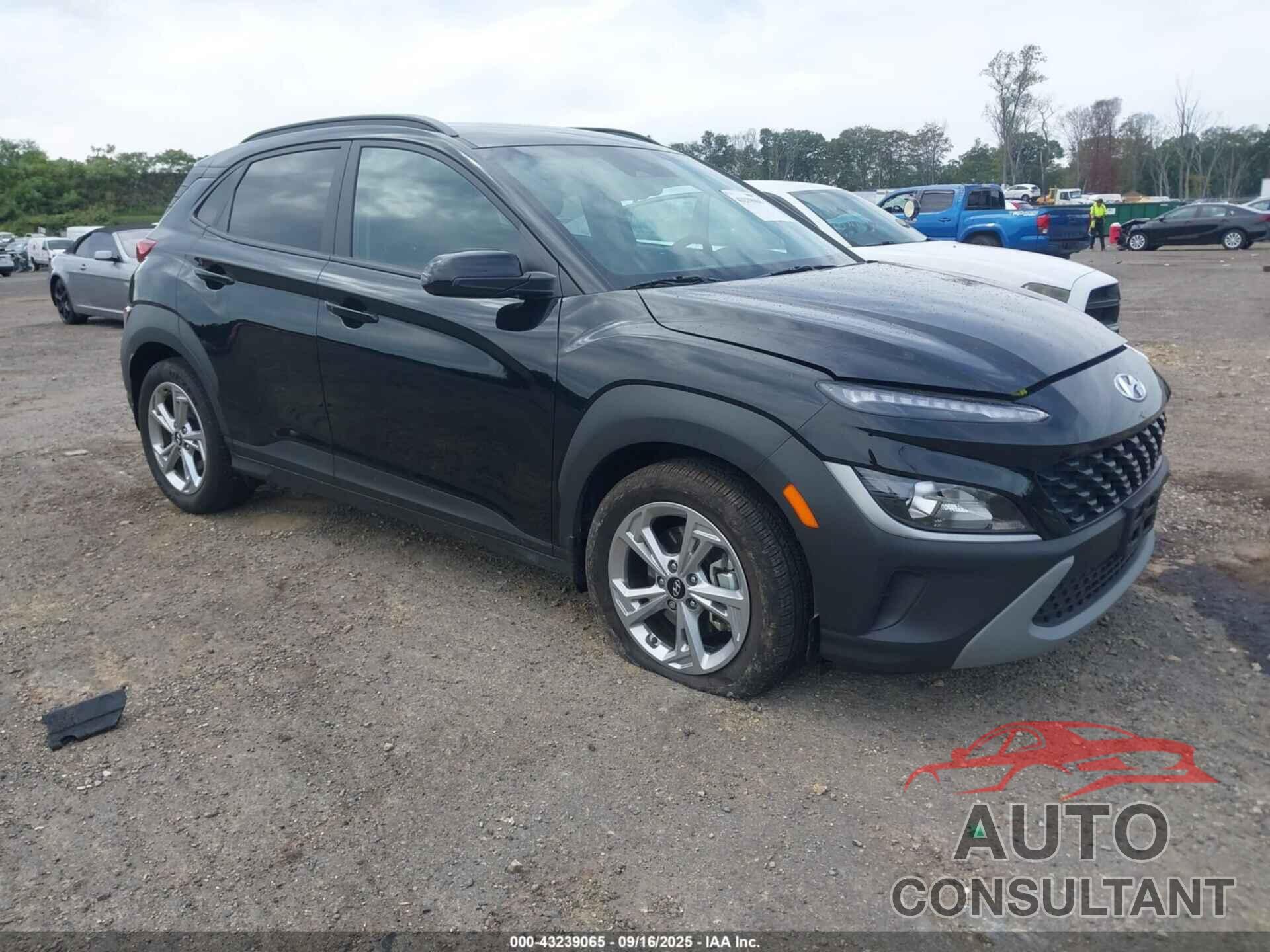 HYUNDAI KONA 2023 - KM8K6CAB7PU028479