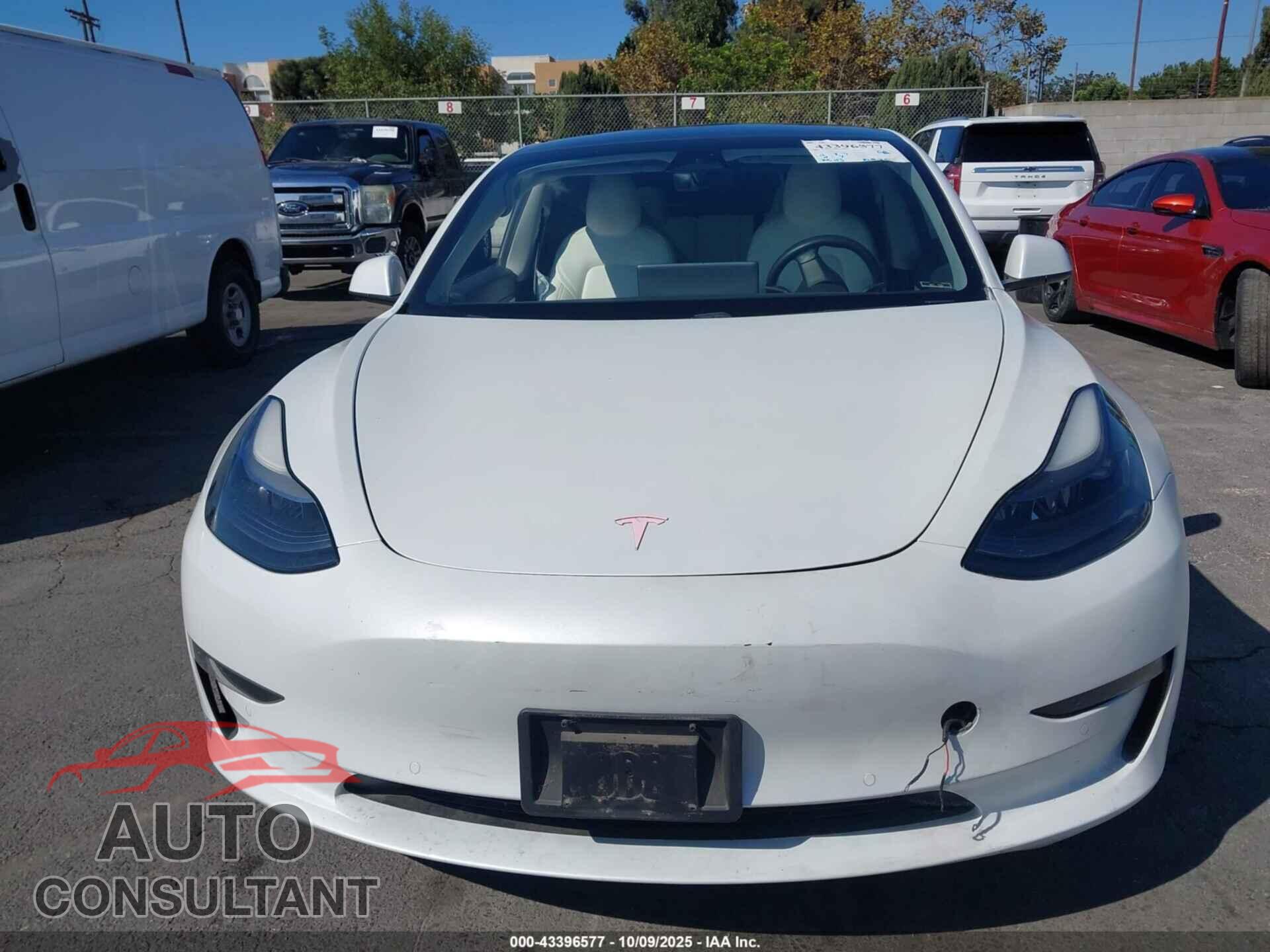 TESLA MODEL 3 2021 - 5YJ3E1EA6MF877864