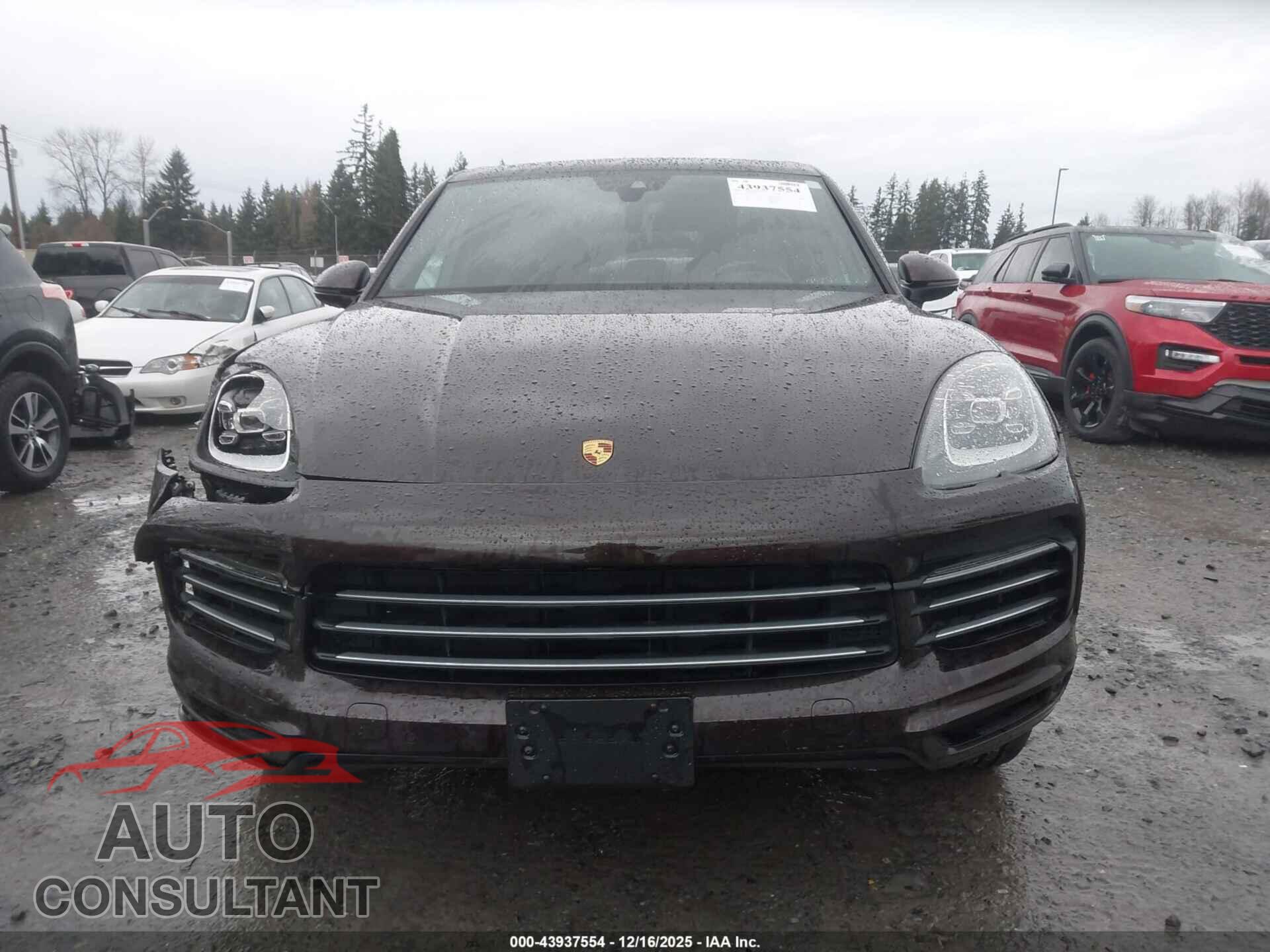 PORSCHE CAYENNE 2019 - WP1AA2AY9KDA01840