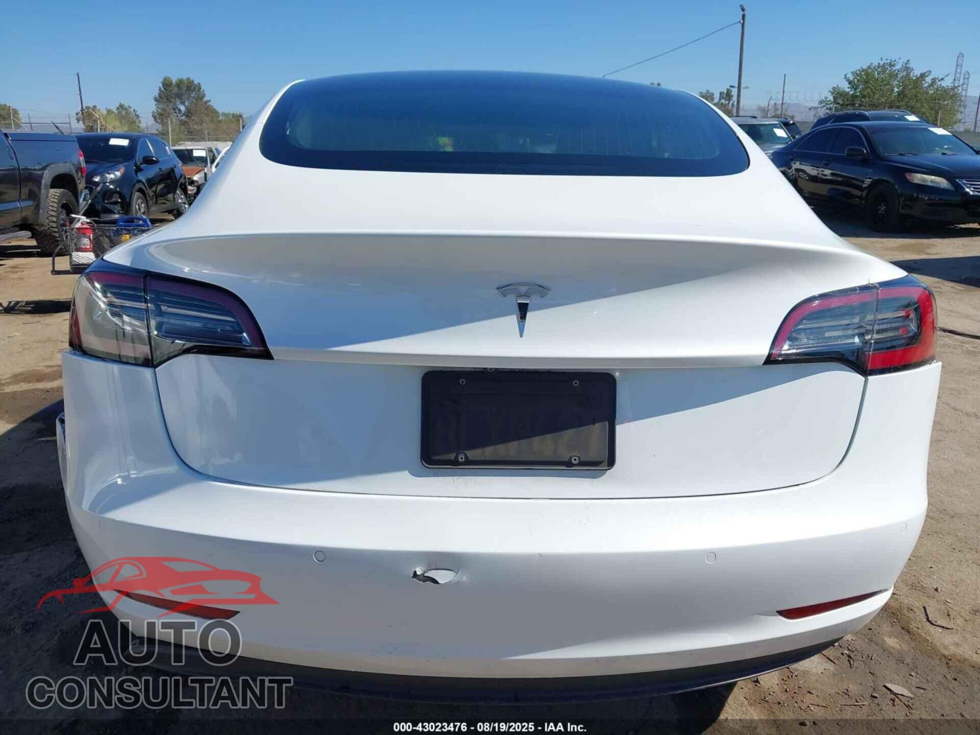 TESLA MODEL 3 2019 - 5YJ3E1EA6KF482788