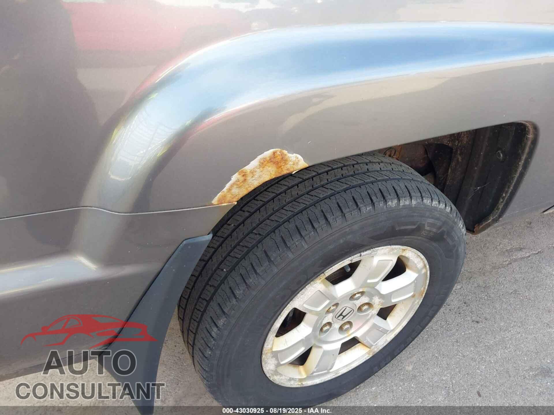 HONDA RIDGELINE 2009 - 5FPYK16419B103334