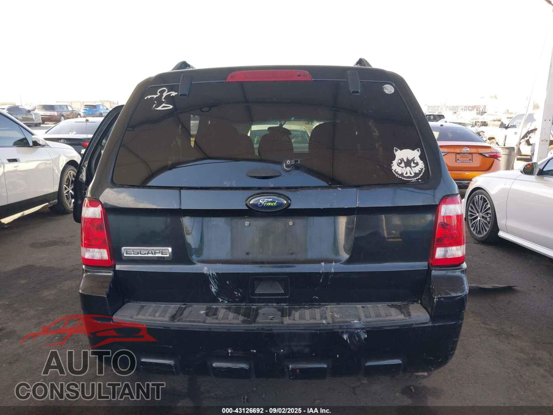 FORD ESCAPE 2011 - 1FMCU0D71BKA87709