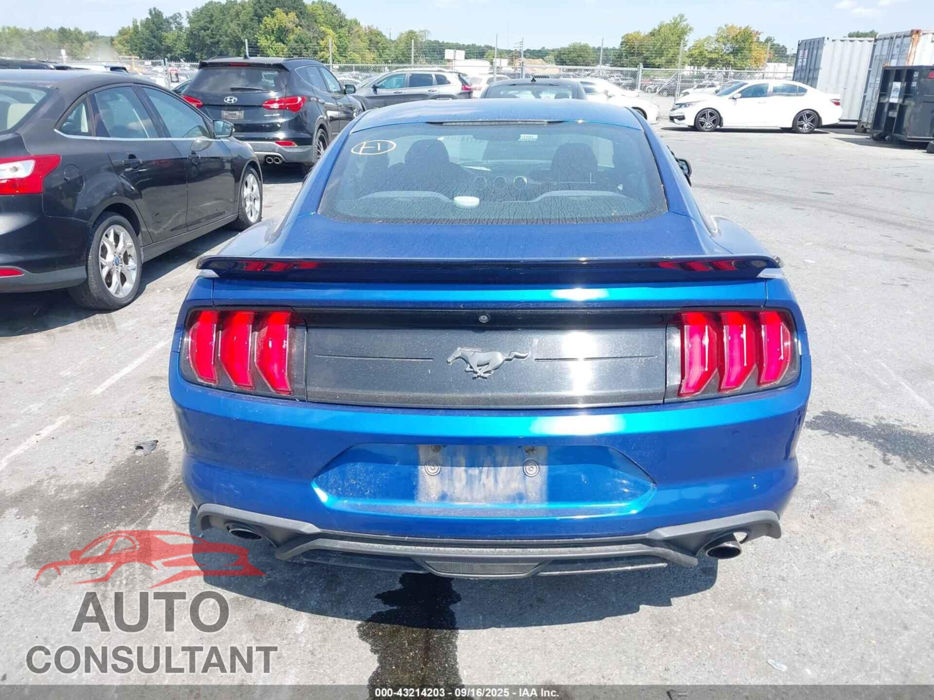 FORD MUSTANG 2018 - 1FA6P8TH6J5116478