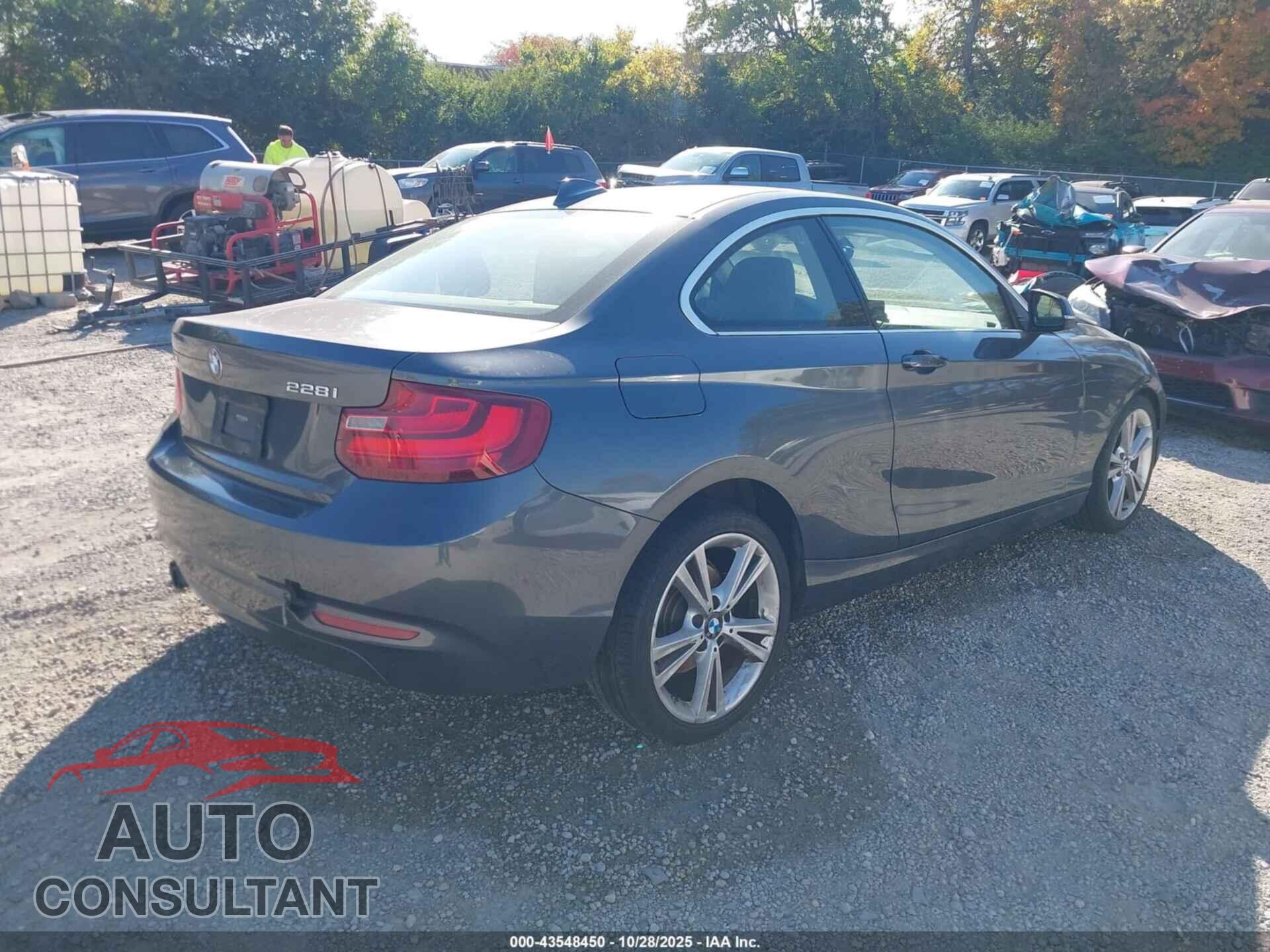 BMW 228I 2015 - WBA1F7C57FVX96354