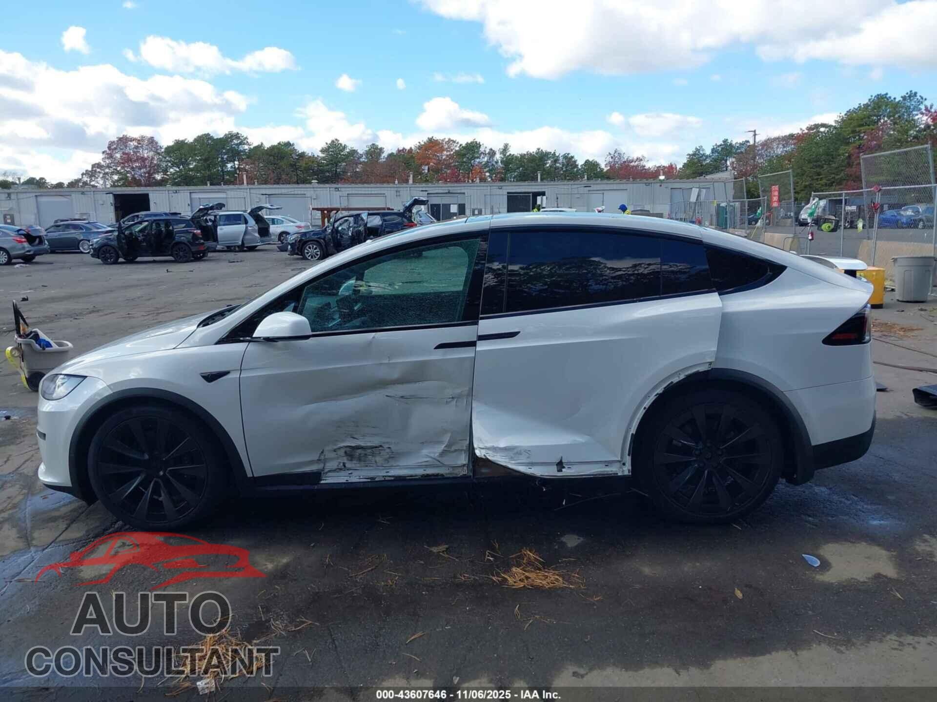 TESLA MODEL X 2023 - 7SAXCBE69PF376161