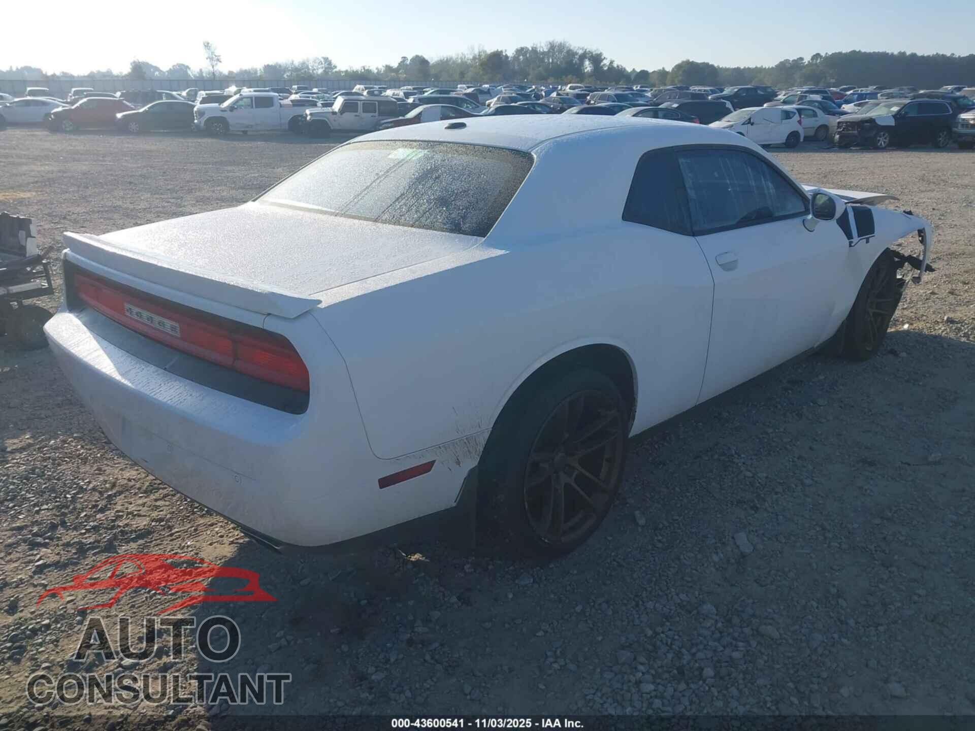 DODGE CHALLENGER 2014 - 2C3CDYBTXEH112156