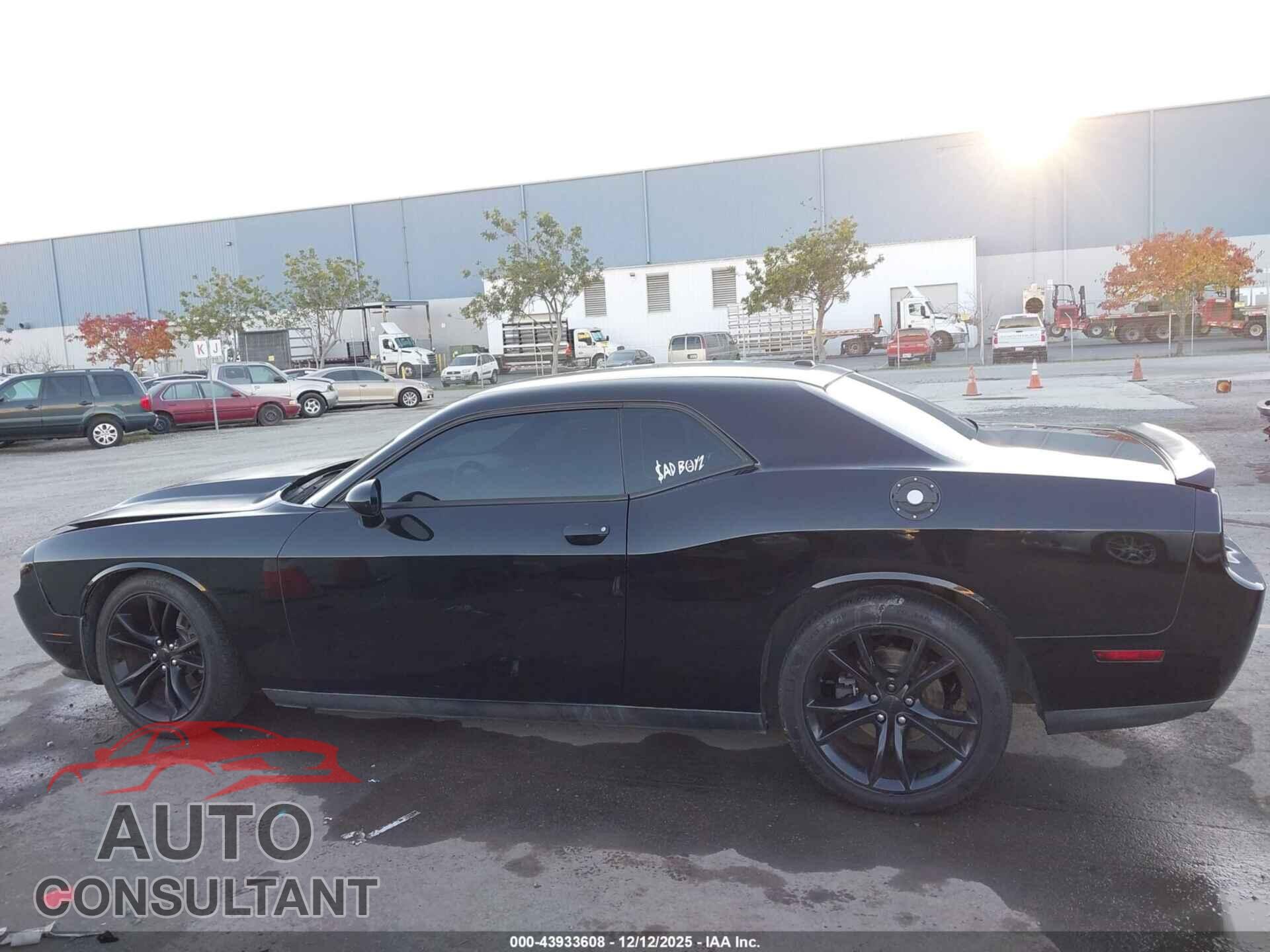 DODGE CHALLENGER 2013 - 2C3CDYBT1DH541815