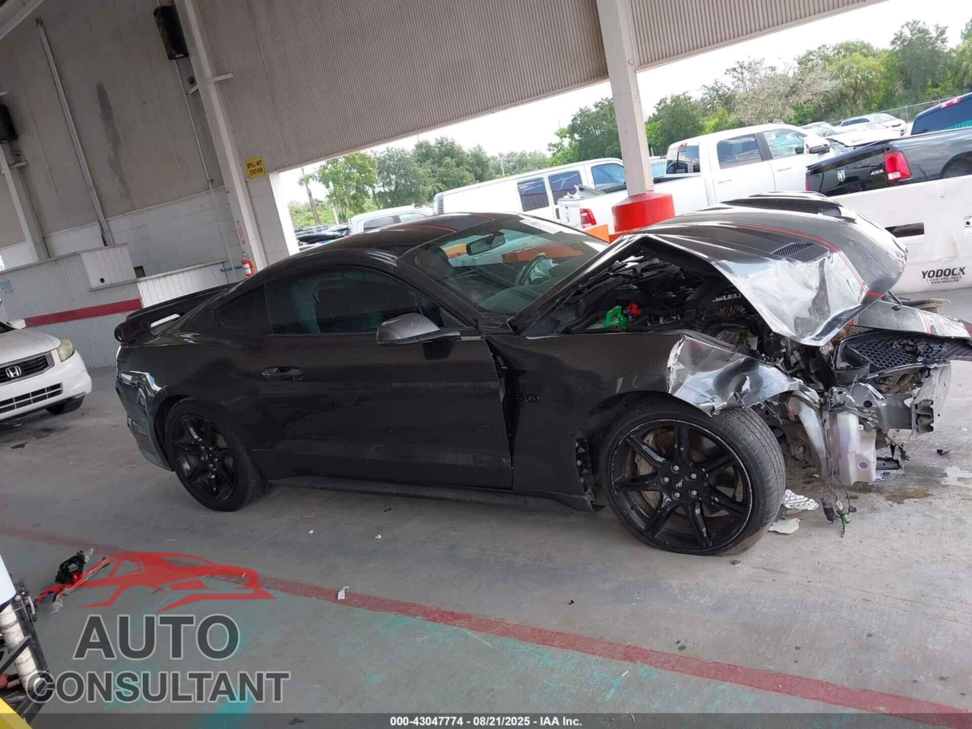 FORD MUSTANG 2019 - 1FA6P8CF5K5196372