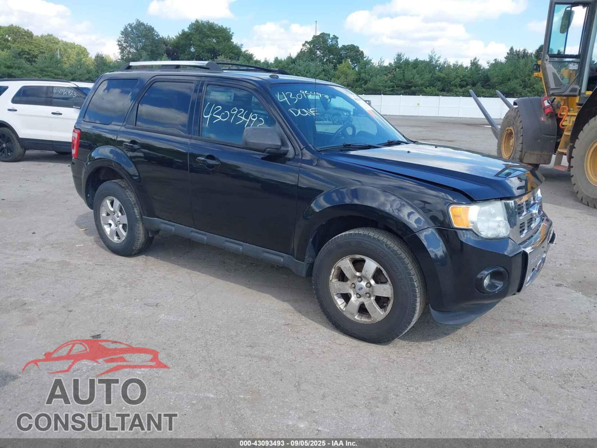 FORD ESCAPE 2011 - 1FMCU9EG8BKB72758