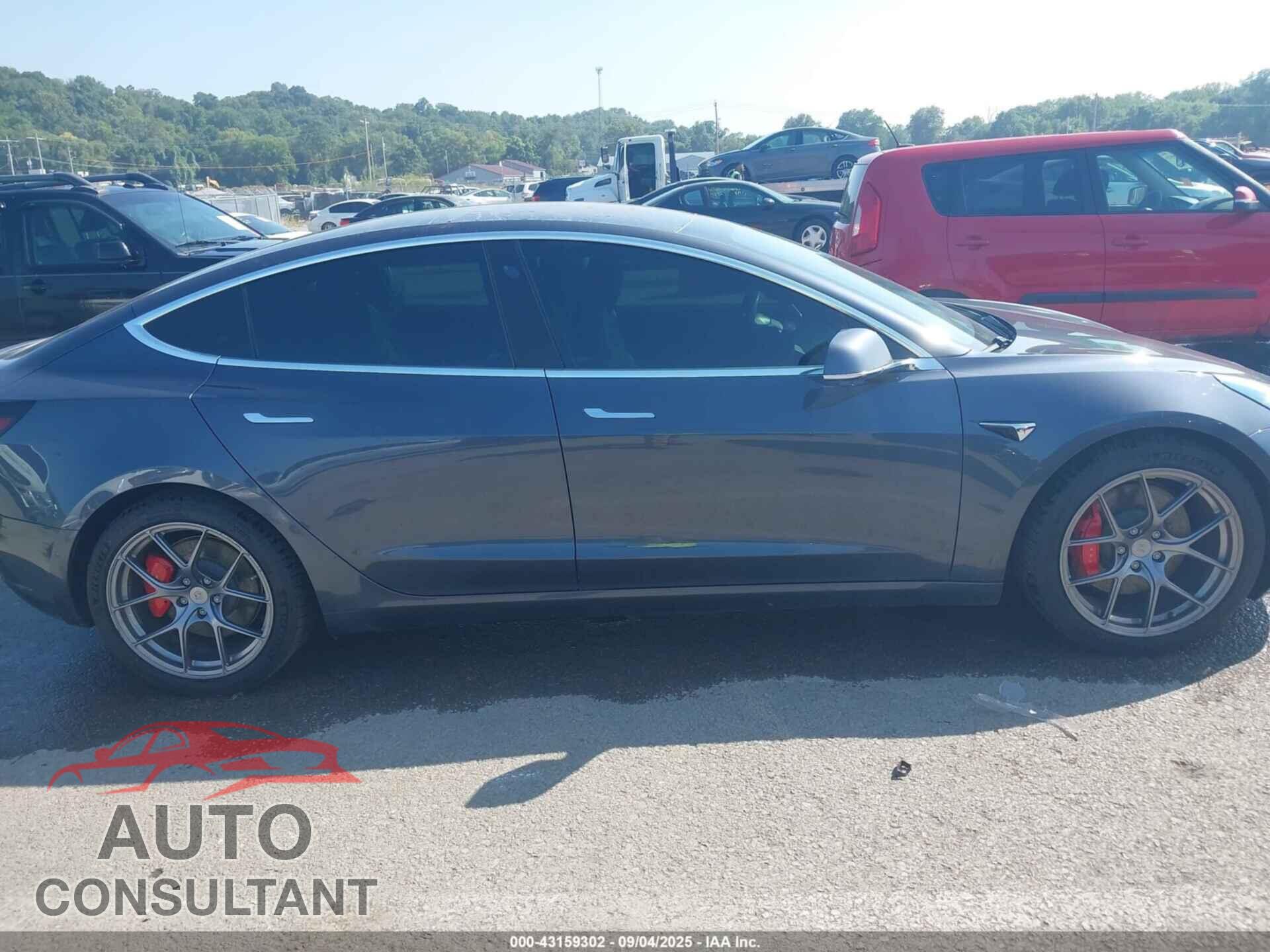 TESLA MODEL 3 2019 - 5YJ3E1EB3KF213978