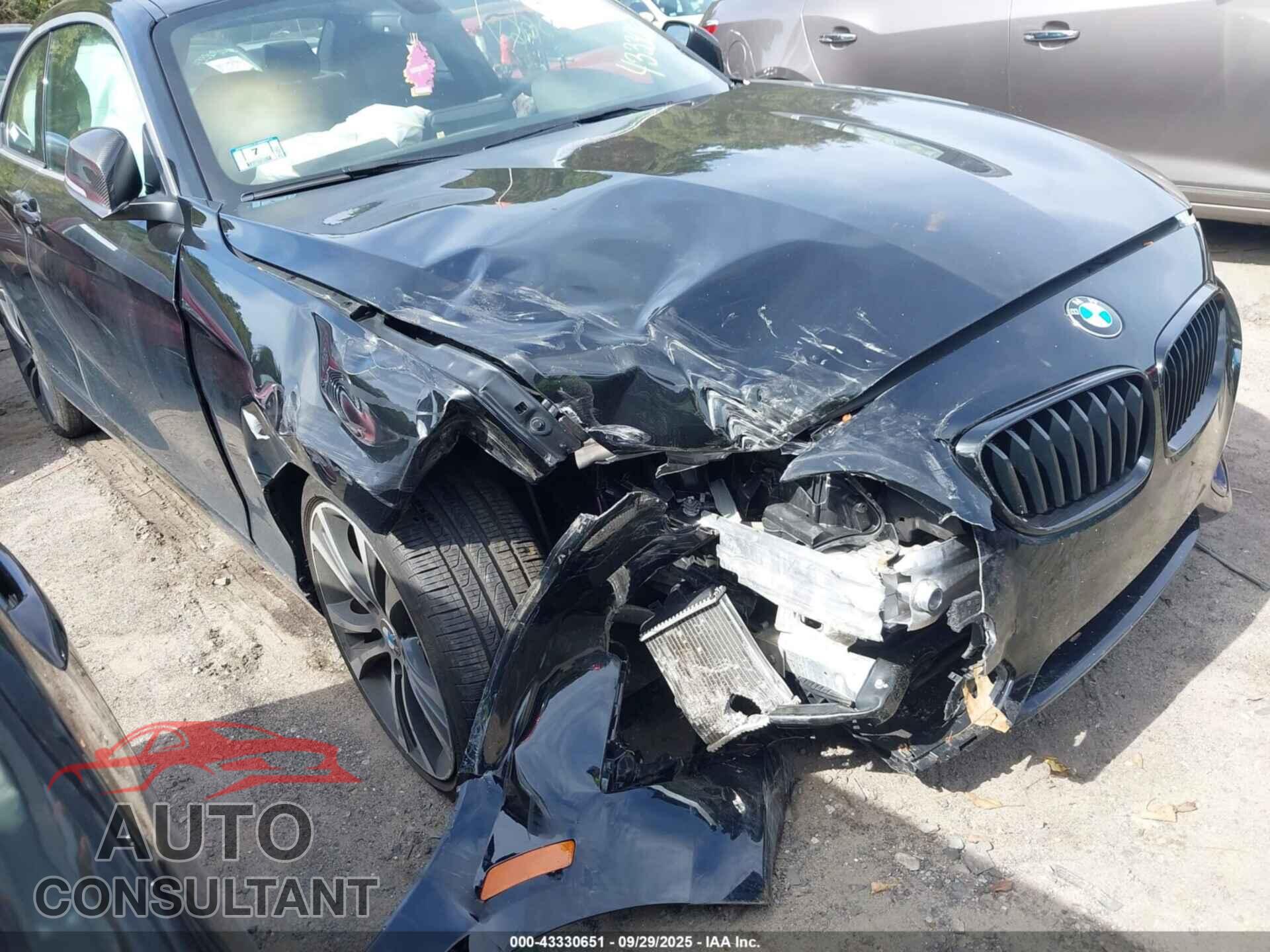 BMW 228I 2014 - WBA1F5C55EV255967
