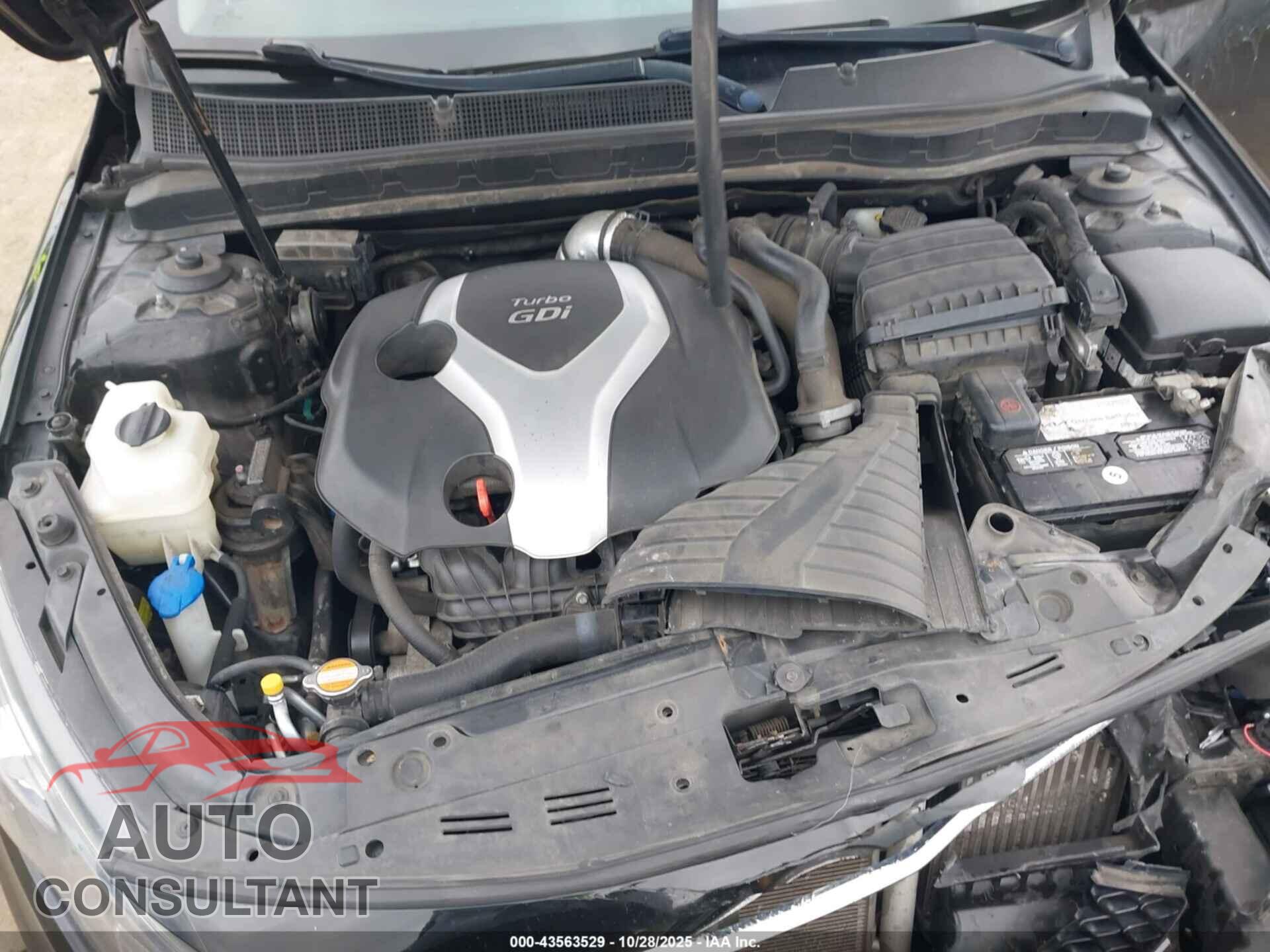KIA OPTIMA 2011 - KNAGR4A68B5115964