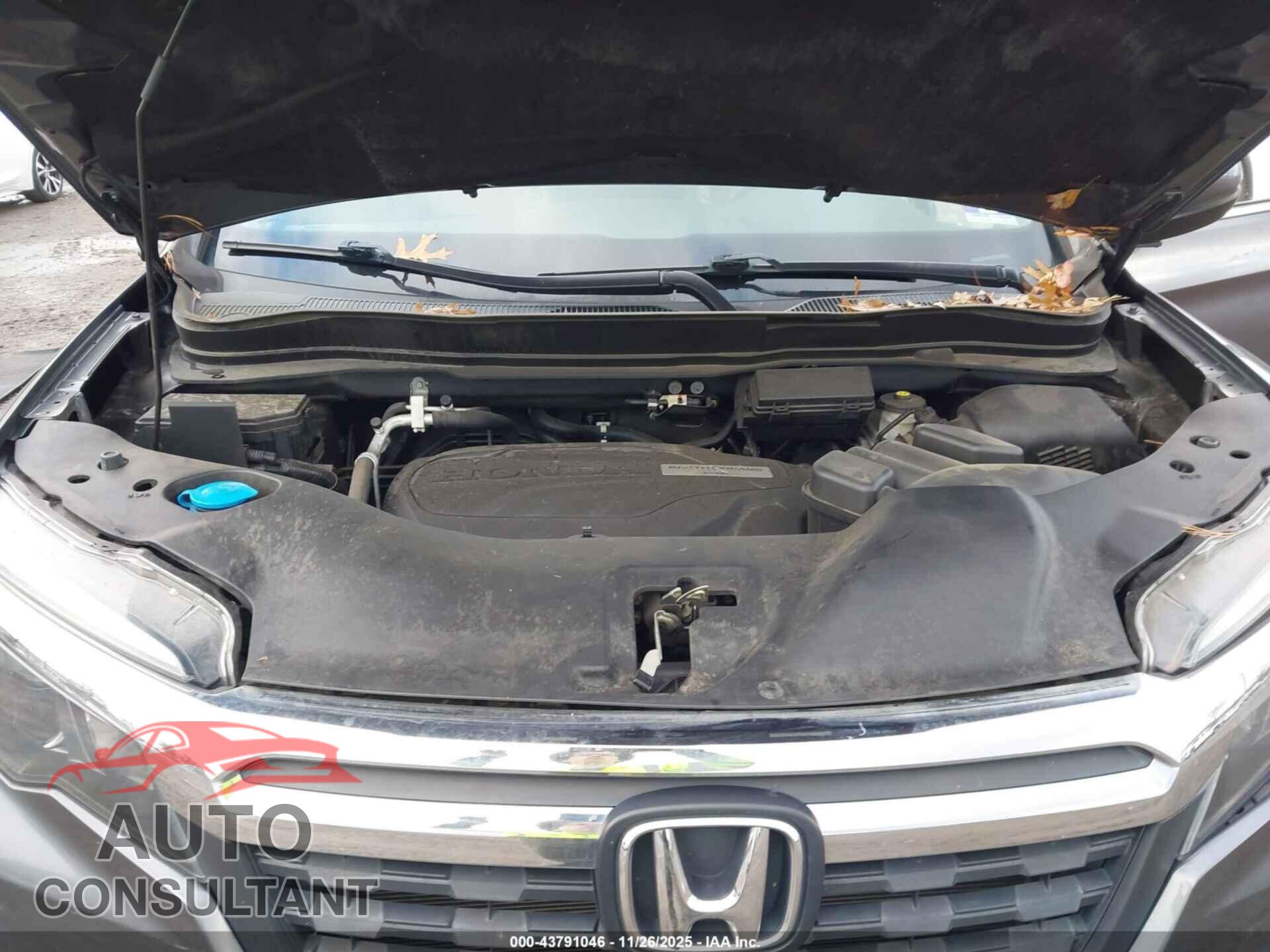 HONDA RIDGELINE 2017 - 5FPYK3F62HB028607