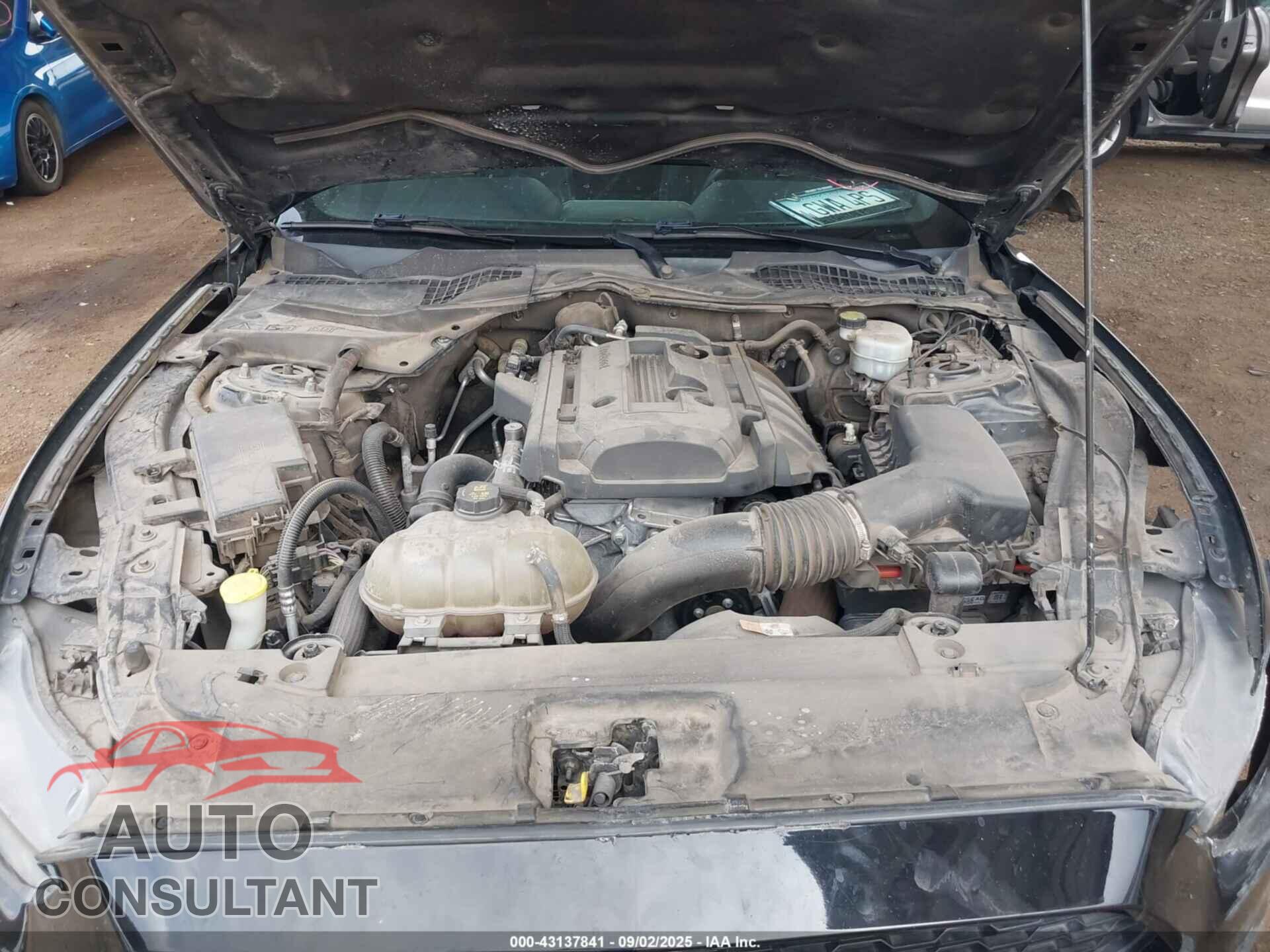 FORD MUSTANG 2017 - 1FA6P8TH1H5330837