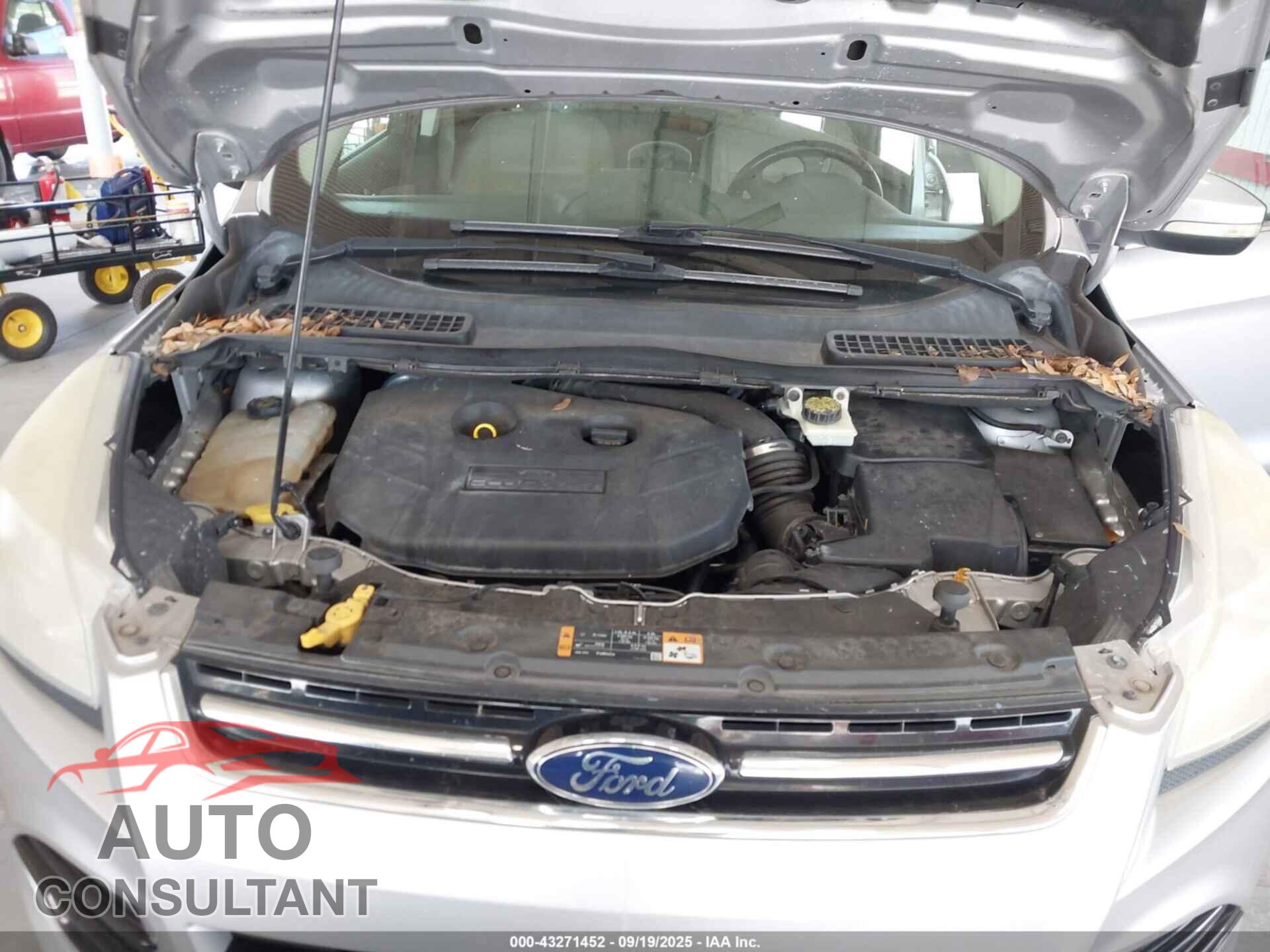 FORD ESCAPE 2014 - 1FMCU0J96EUA85680