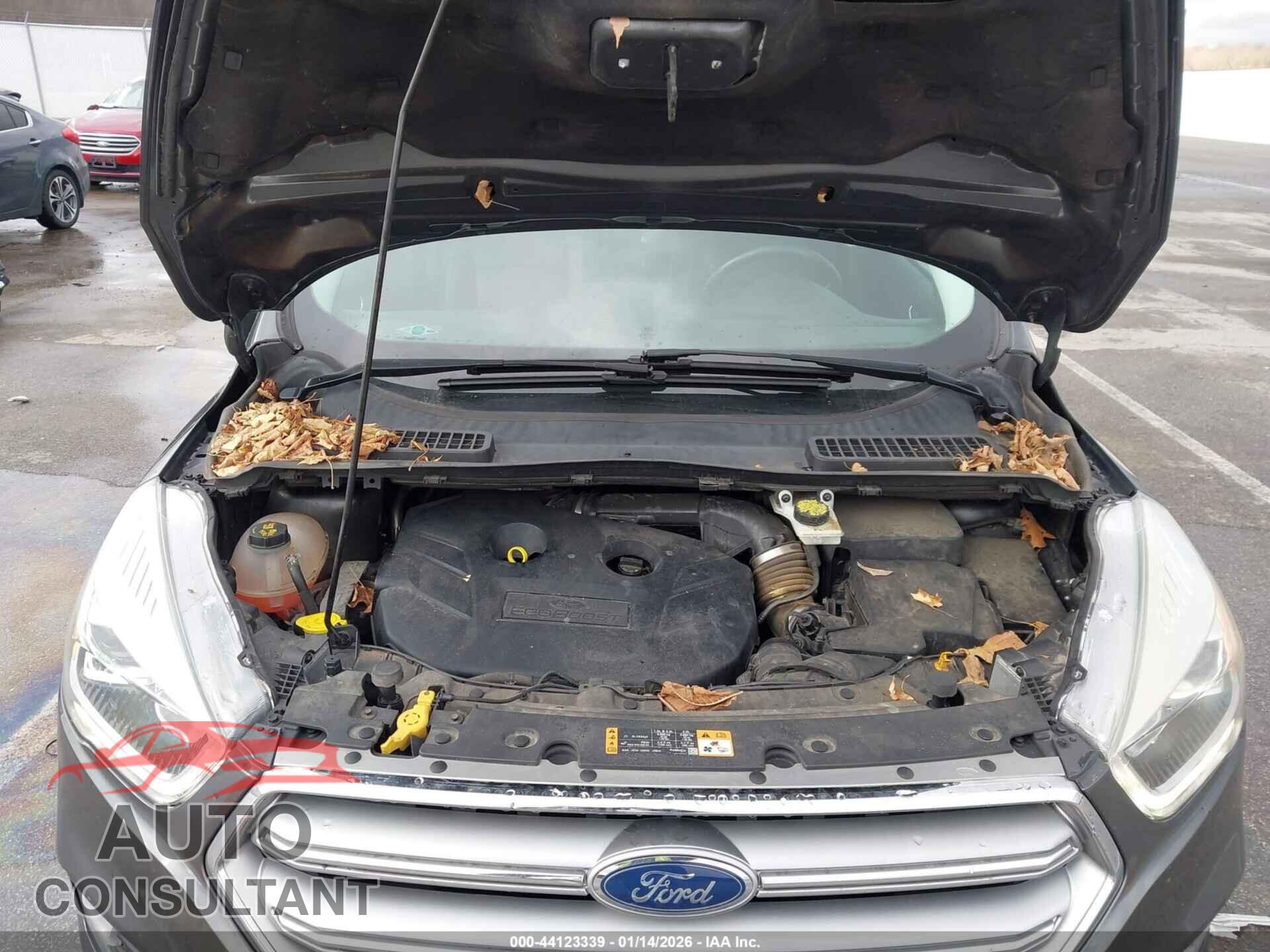 FORD ESCAPE 2017 - 1FMCU9G97HUE45250