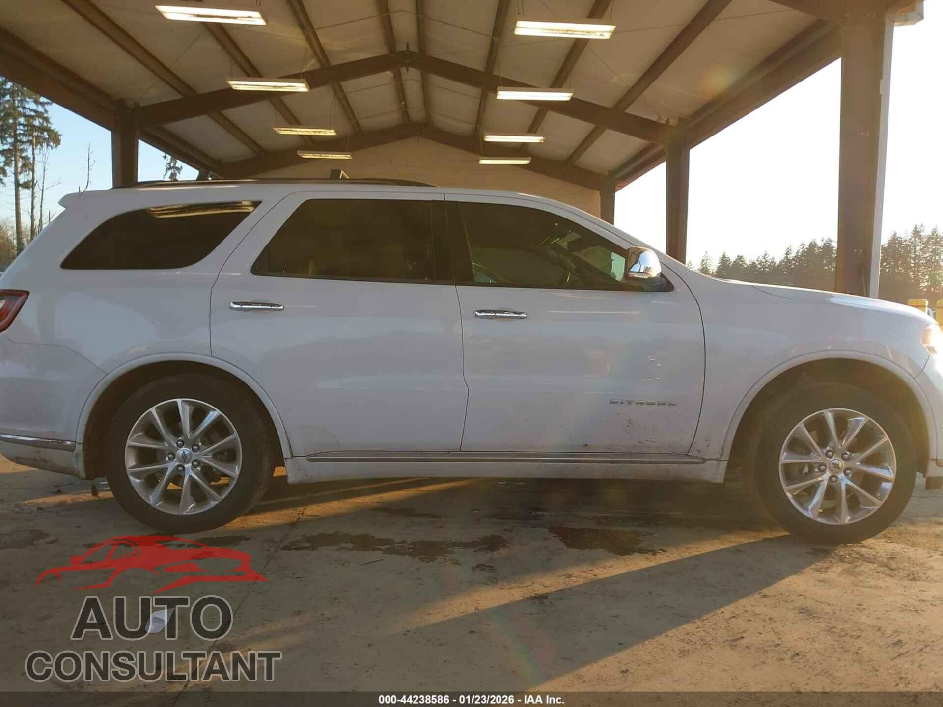 DODGE DURANGO 2019 - 1C4RDJEG2KC738259