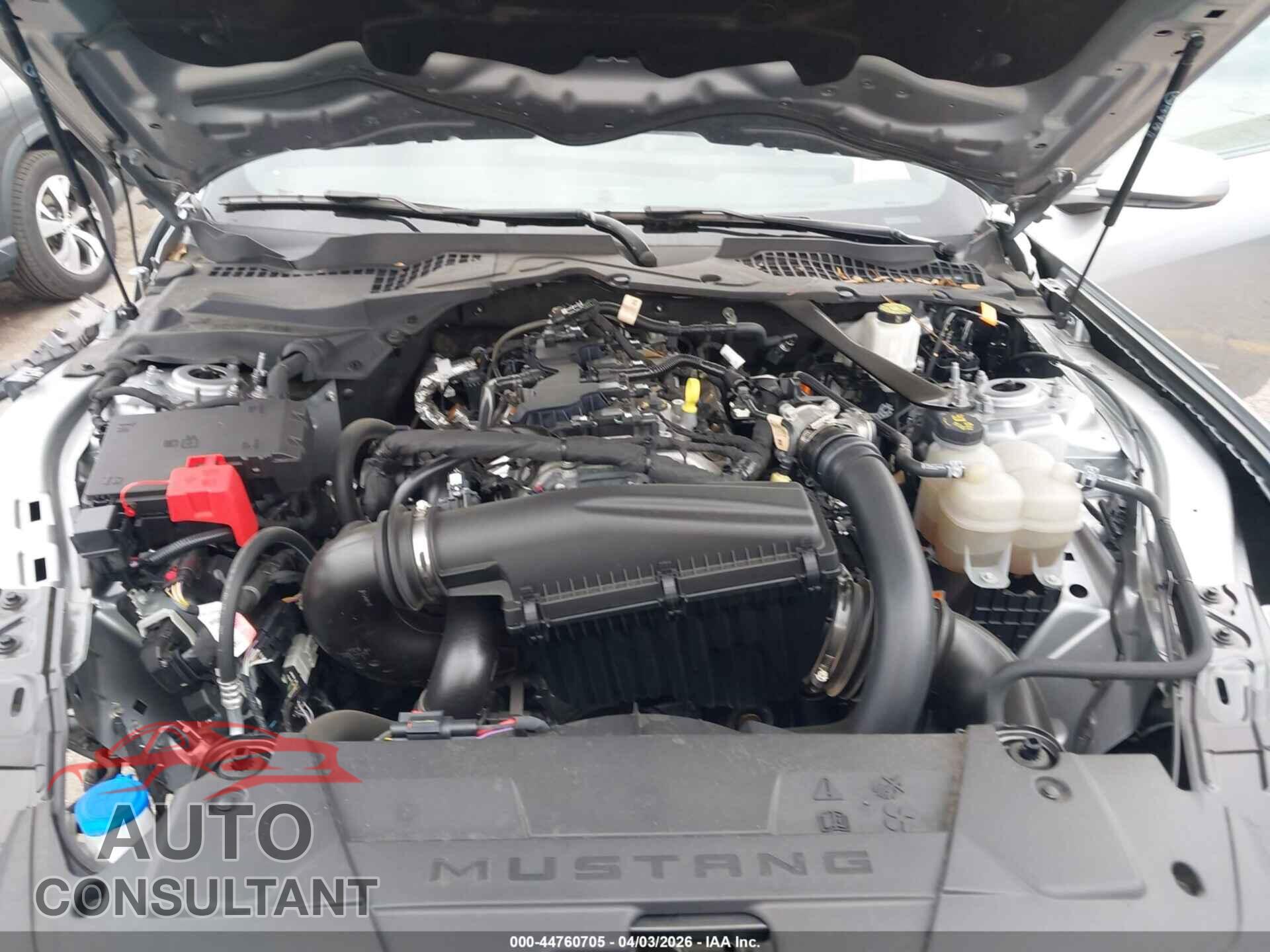 FORD MUSTANG 2024 - 1FAGP8UH1R5116774