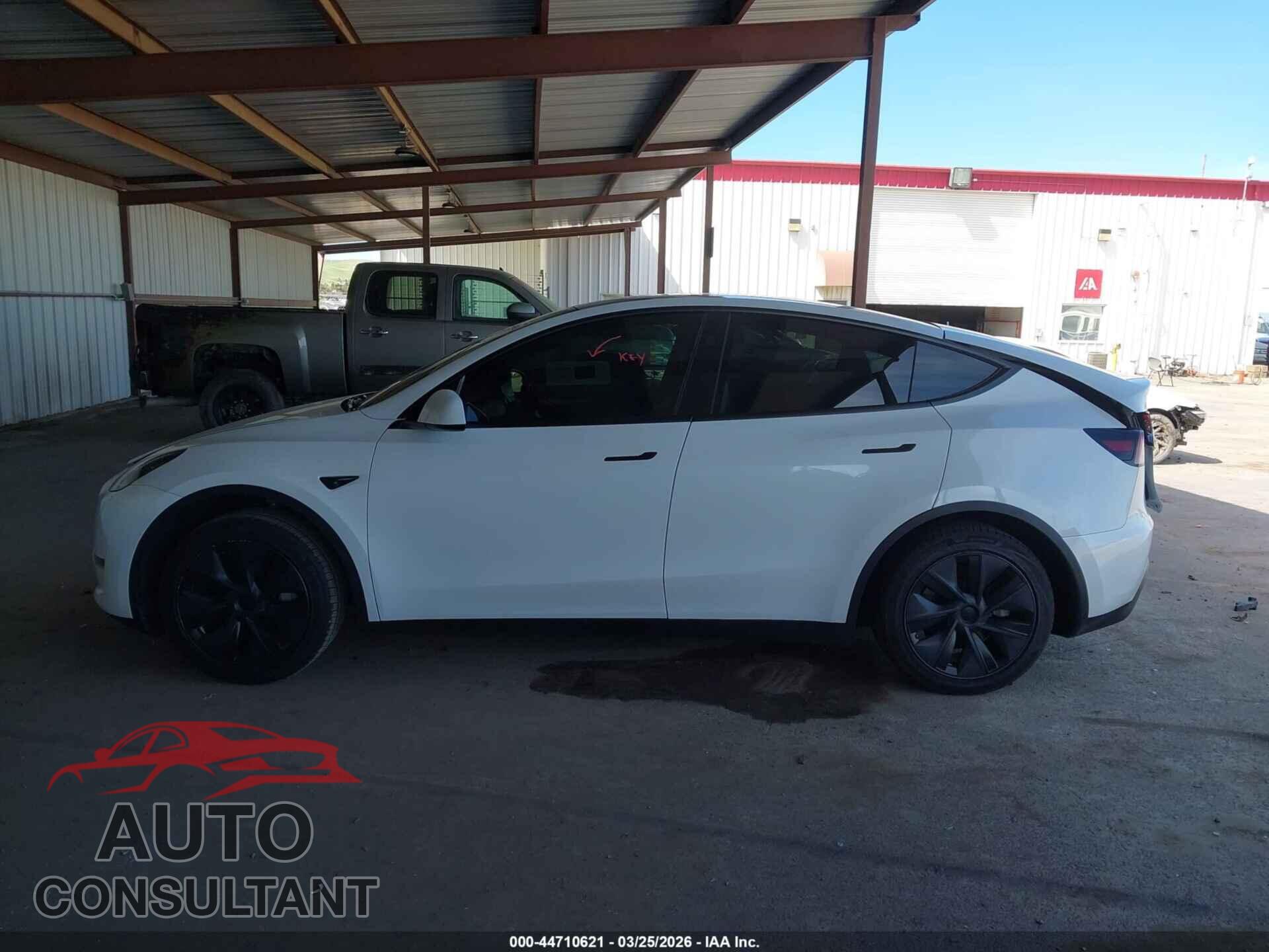 TESLA MODEL Y 2024 - 7SAYGDED9RF105719