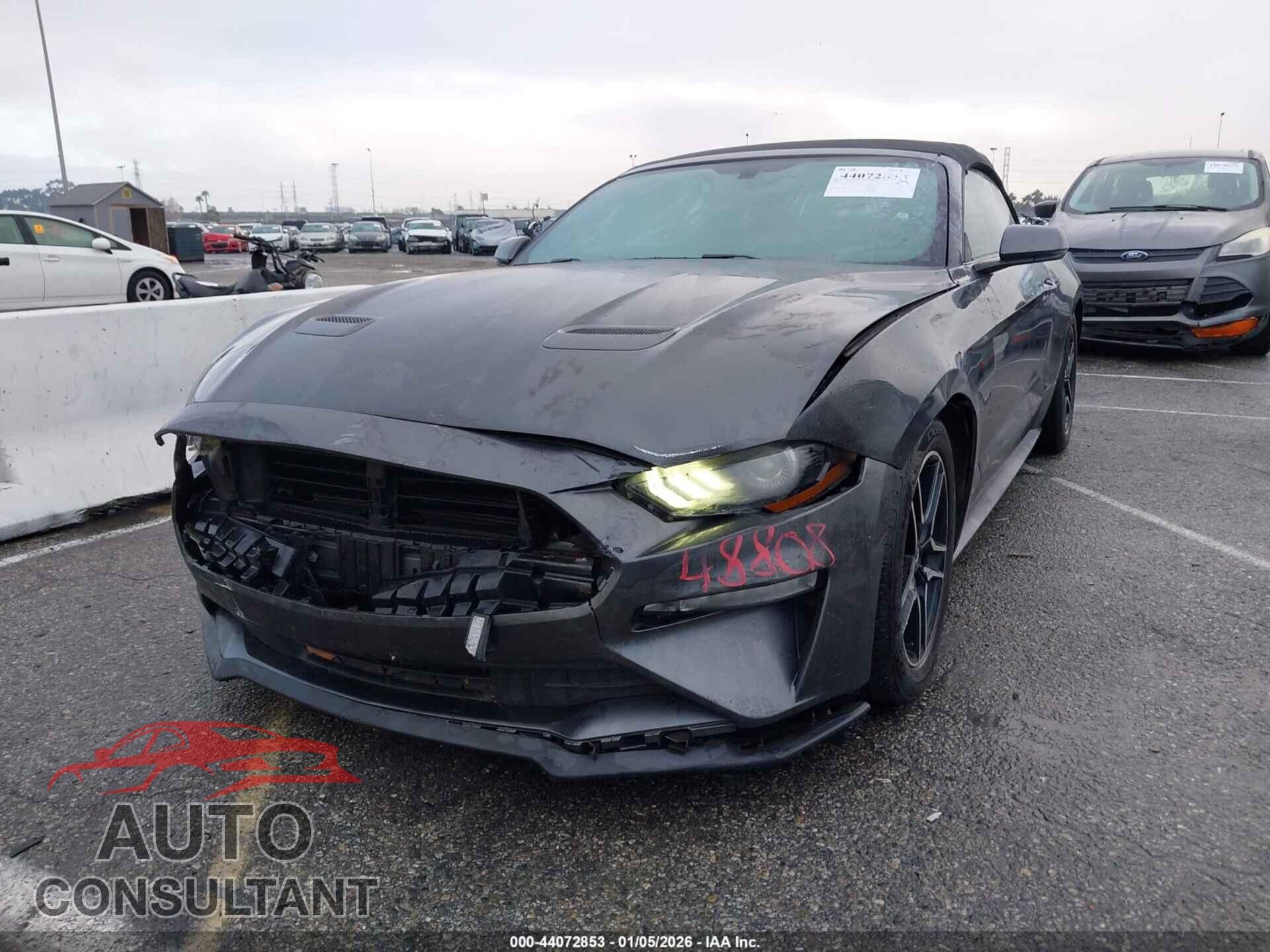 FORD MUSTANG 2019 - 1FATP8UH2K5170170