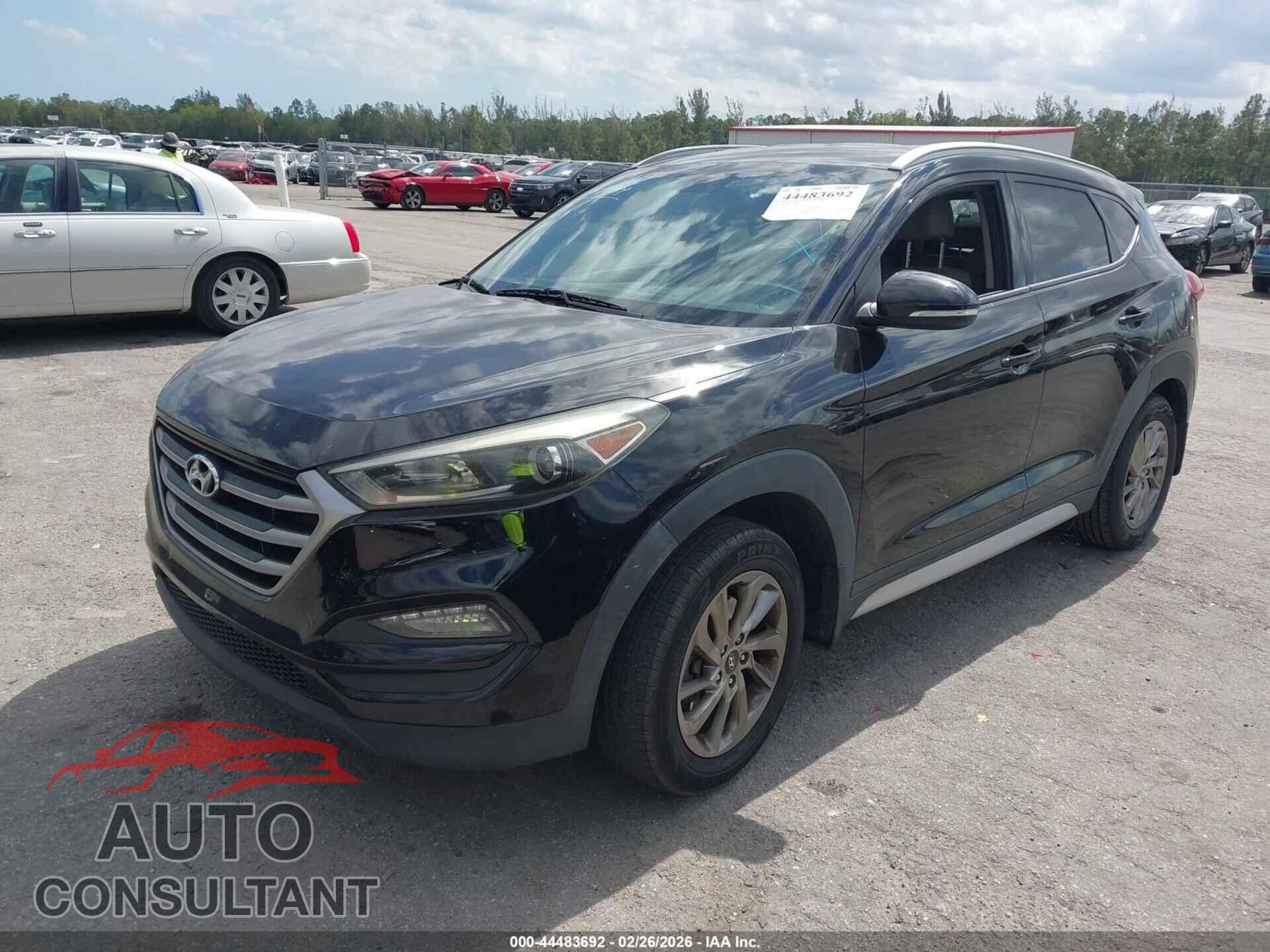 HYUNDAI TUCSON 2017 - KM8J33A42HU537838
