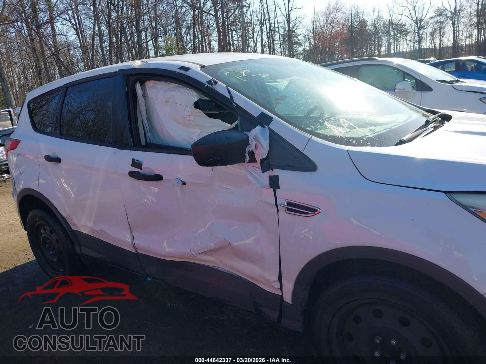 FORD ESCAPE 2013 - 1FMCU0F76DUD79781
