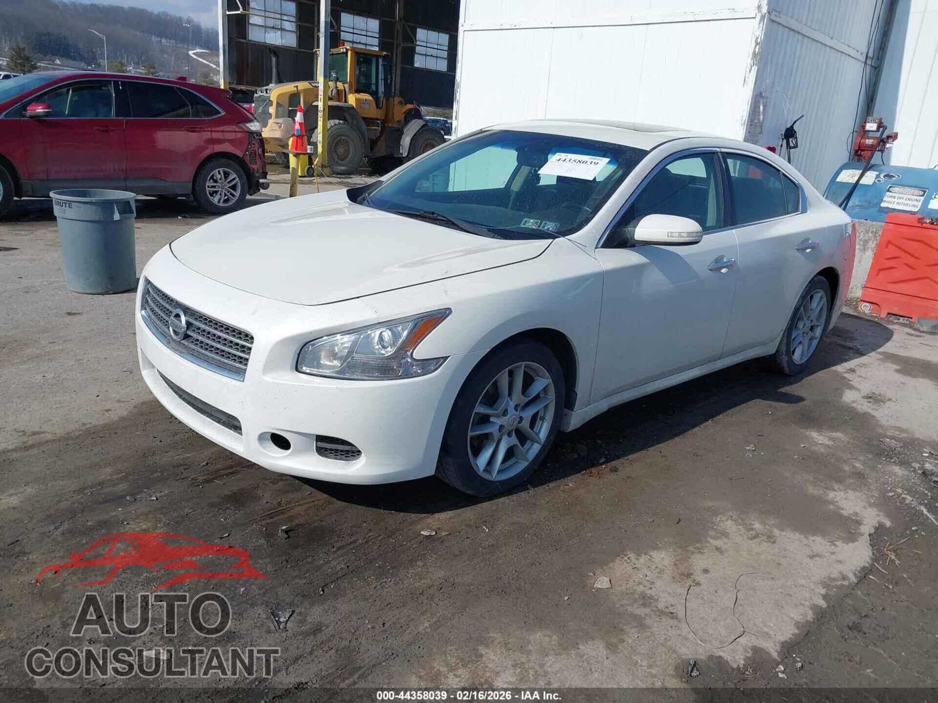 NISSAN MAXIMA 2010 - 1N4AA5AP7AC841880