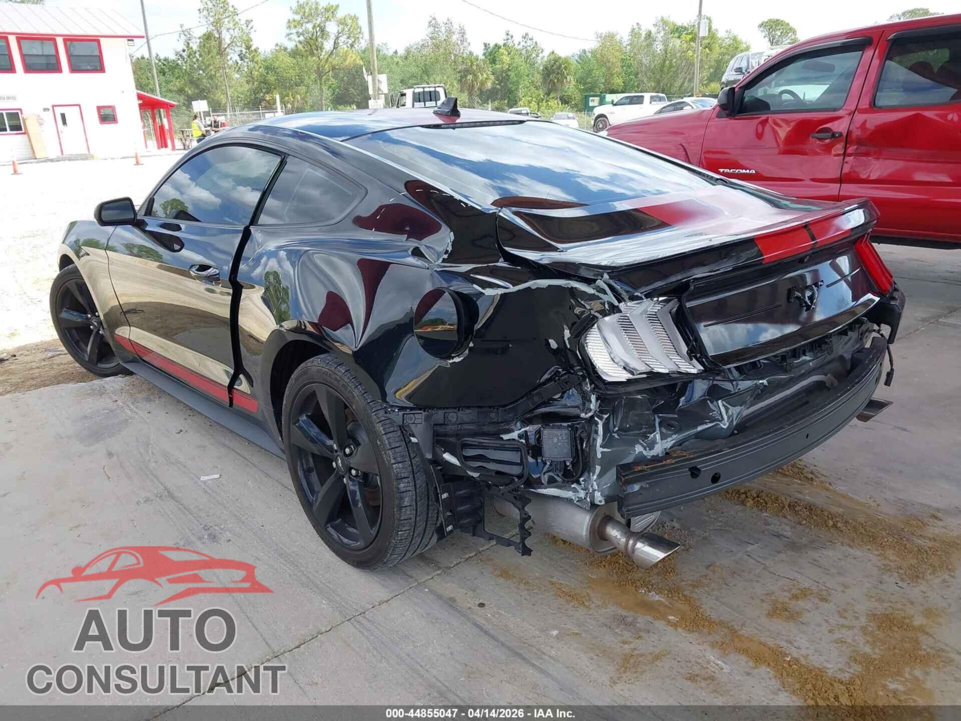 FORD MUSTANG 2021 - 1FA6P8TH2M5117342