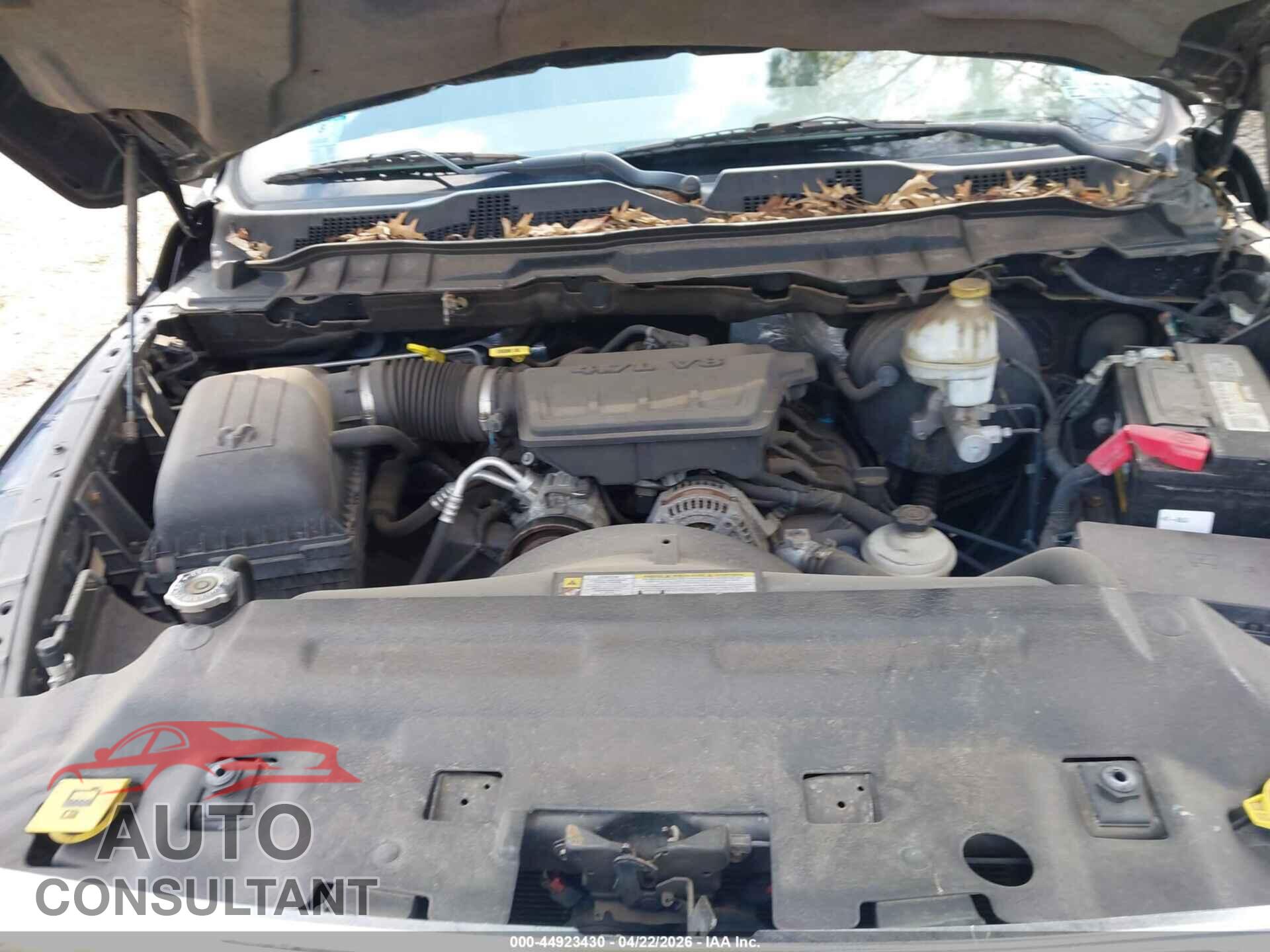 DODGE RAM 1500 2010 - 1D7RB1CP8AS189296