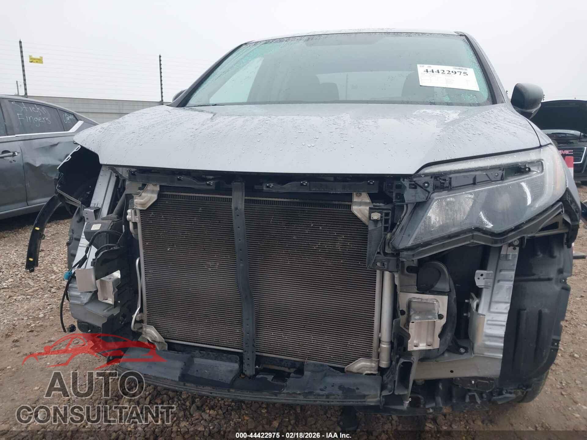 HONDA RIDGELINE 2019 - 5FPYK2F23KB006517