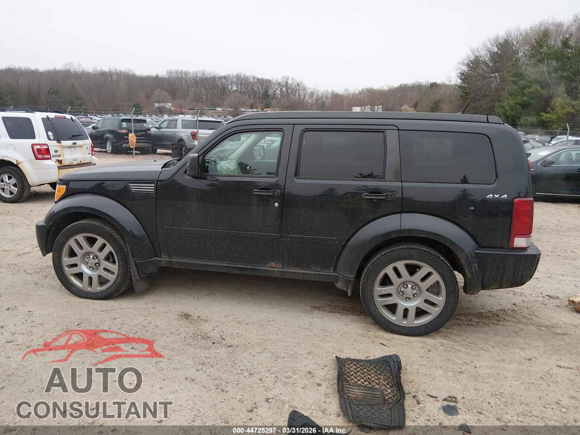 DODGE NITRO 2011 - 1D4PU4GX0BW517430