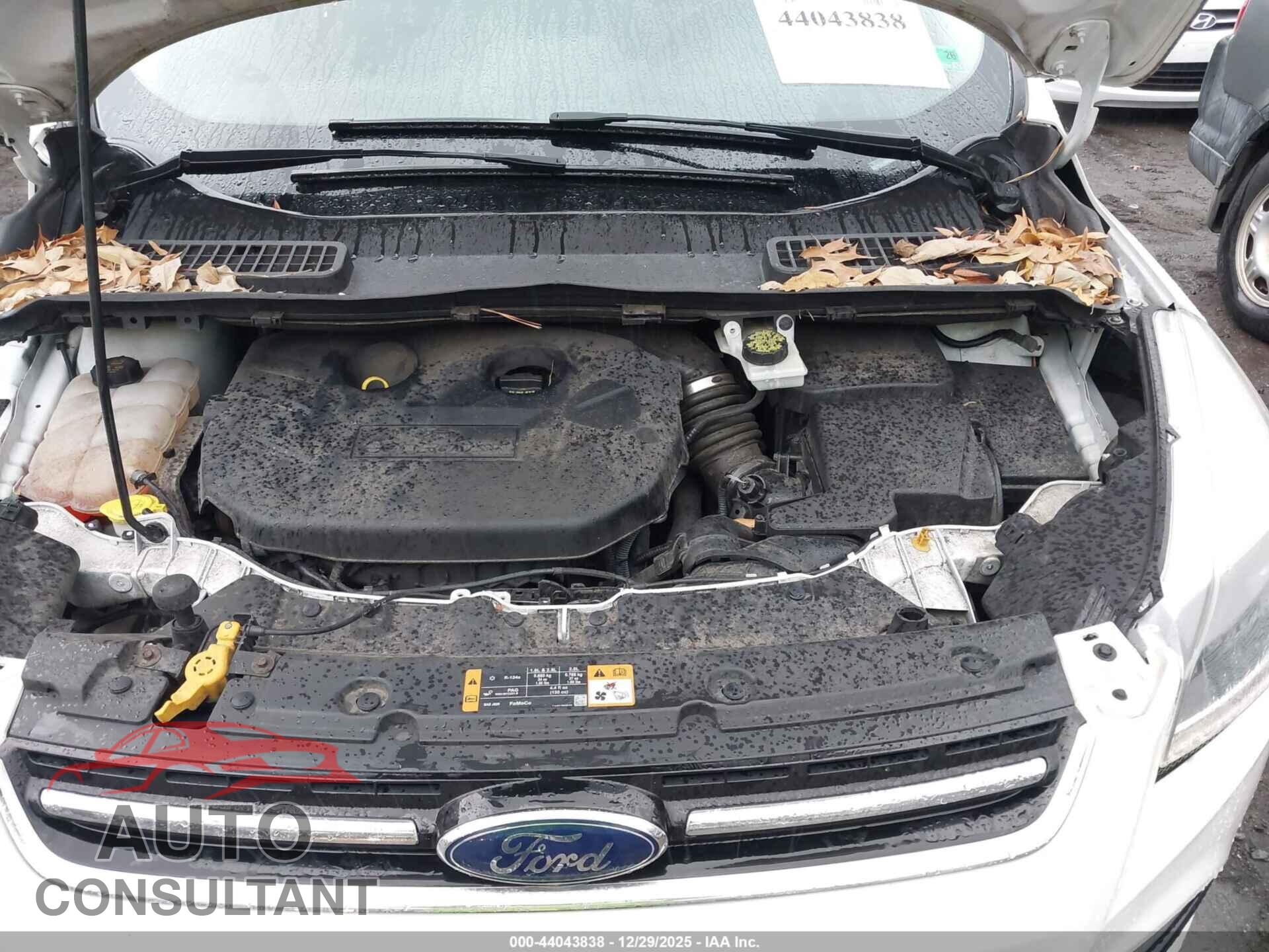 FORD ESCAPE 2014 - 1FMCU9J94EUD05919