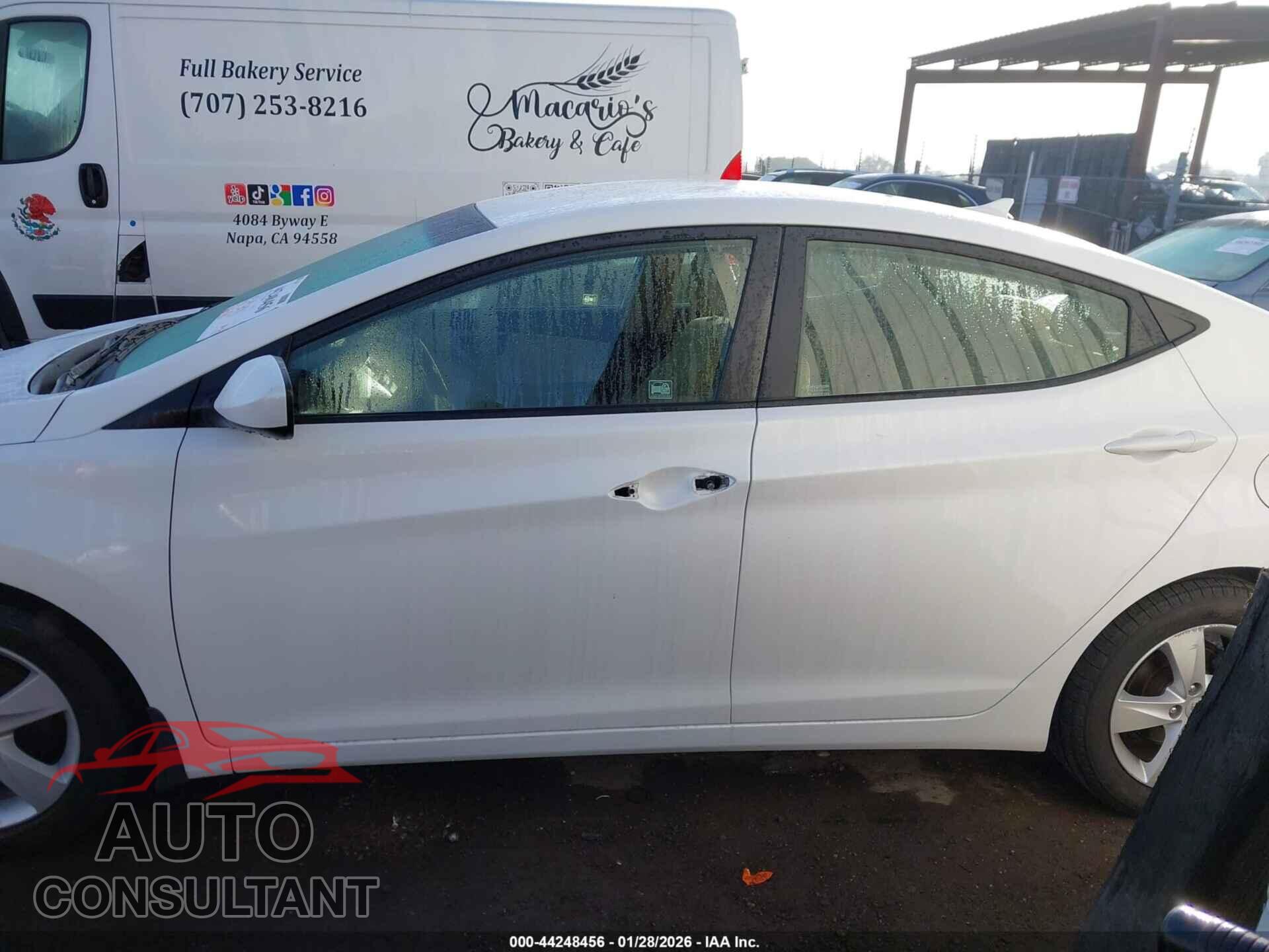 HYUNDAI ELANTRA 2013 - 5NPDH4AE7DH338855