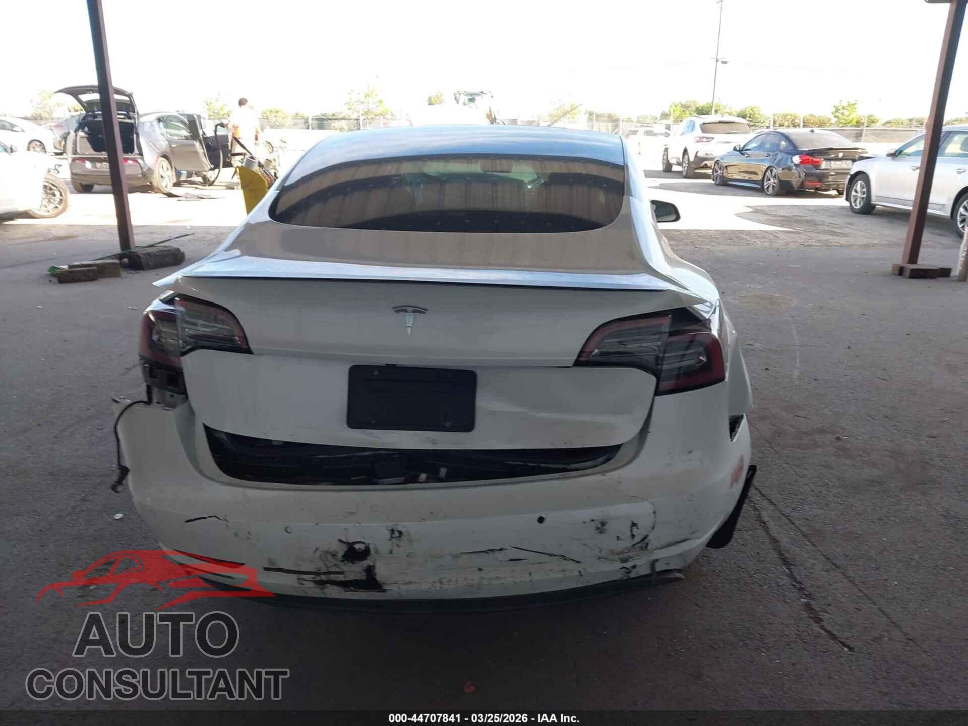 TESLA MODEL 3 2019 - 5YJ3E1EA3KF509316