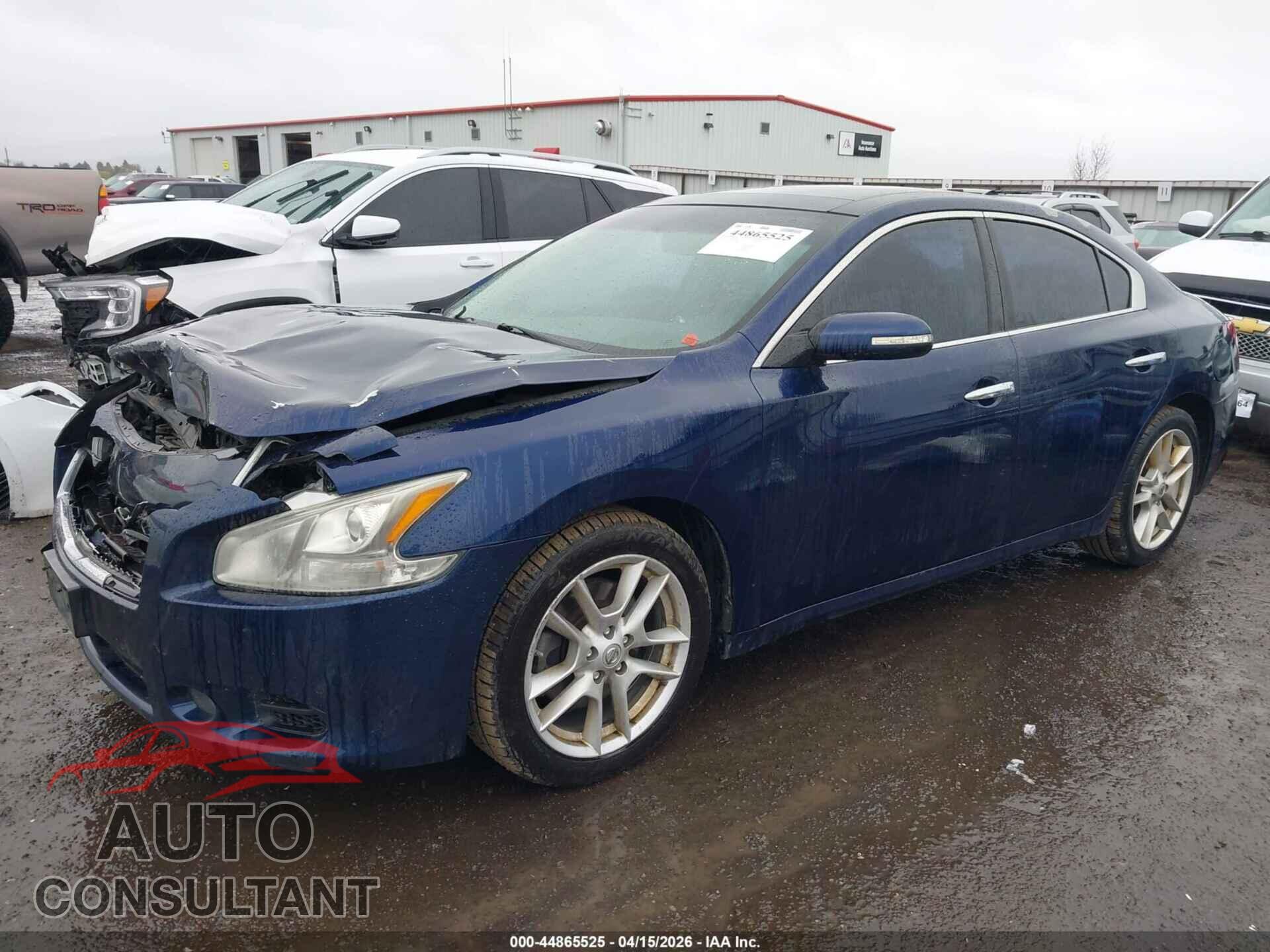 NISSAN MAXIMA 2009 - 1N4AA51E69C820965