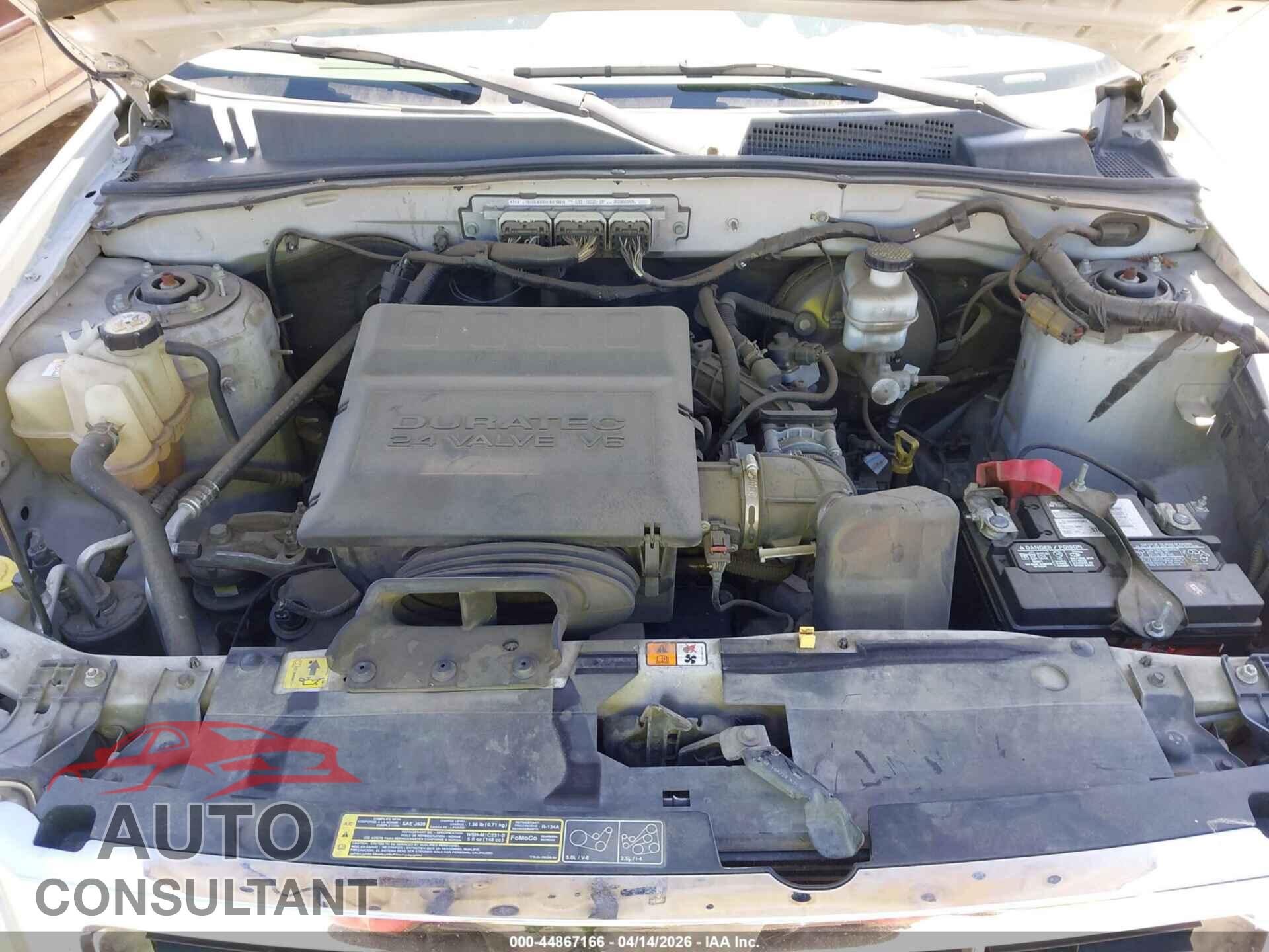 FORD ESCAPE 2010 - 1FMCU0DG4AKC84551