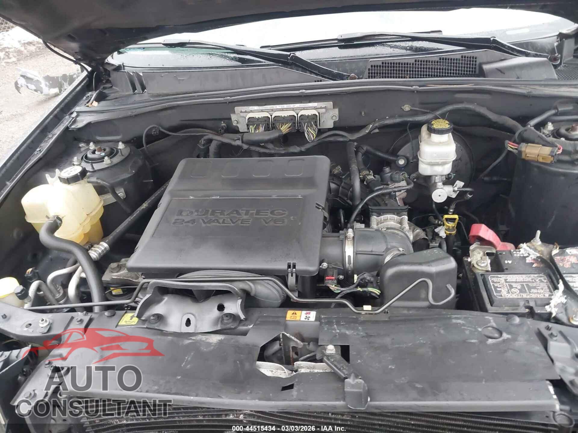 FORD ESCAPE 2010 - 1FMCU9DG2AKC45896