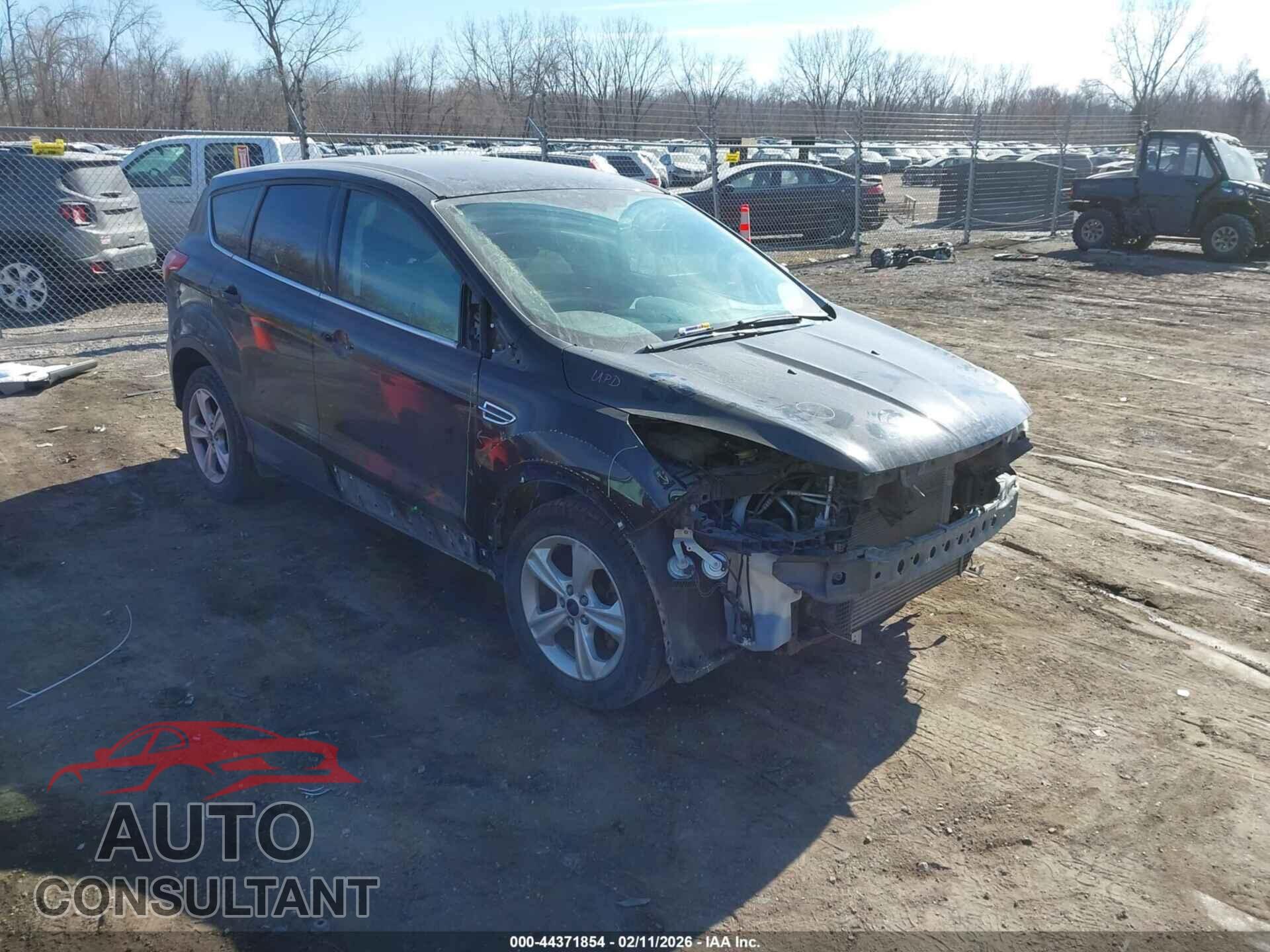 FORD ESCAPE 2014 - 1FMCU0GXXEUC66867