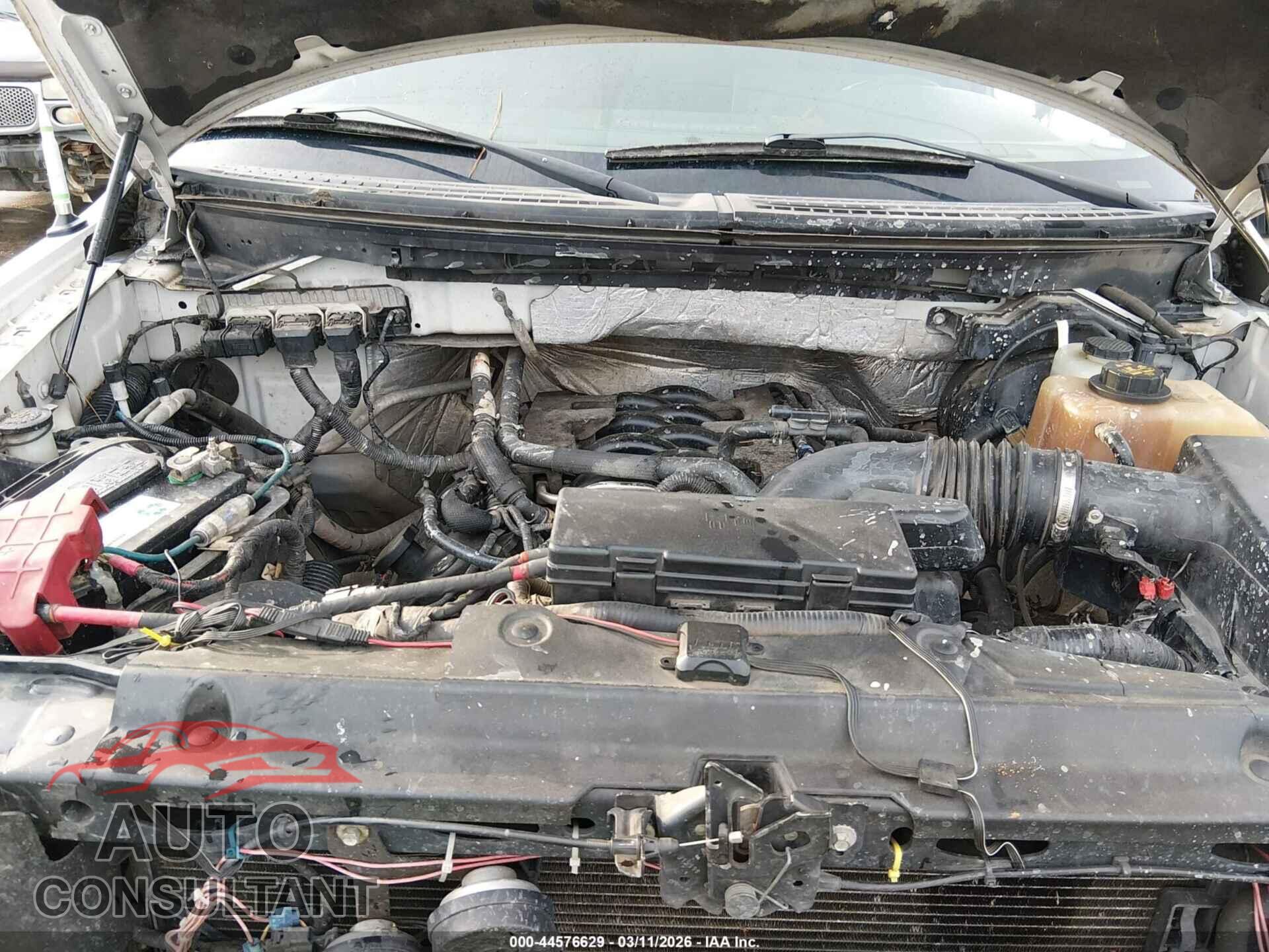 FORD F-150 2011 - 1FTFW1EF5BKD70671