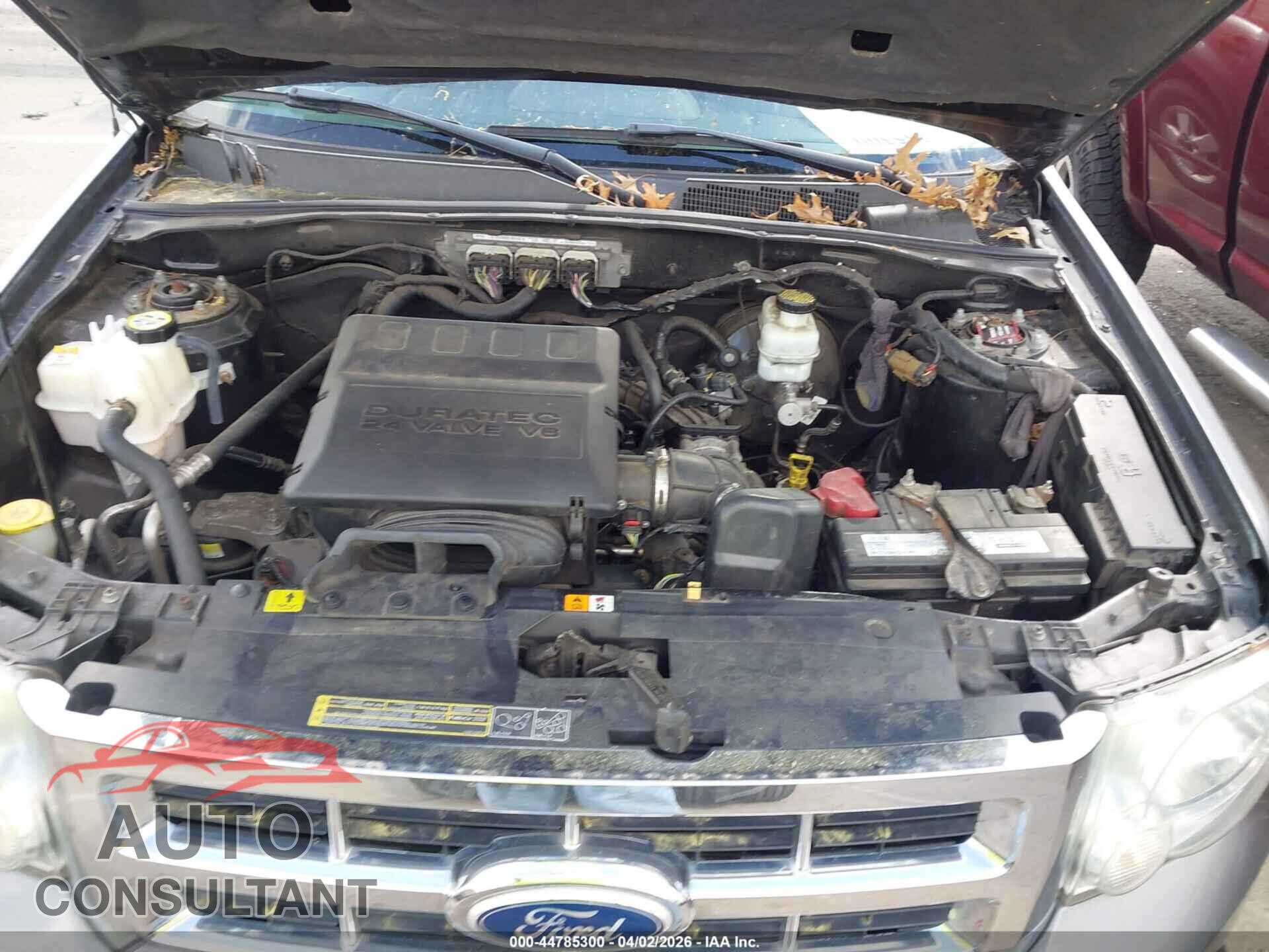 FORD ESCAPE 2010 - 1FMCU9DG9AKD30525
