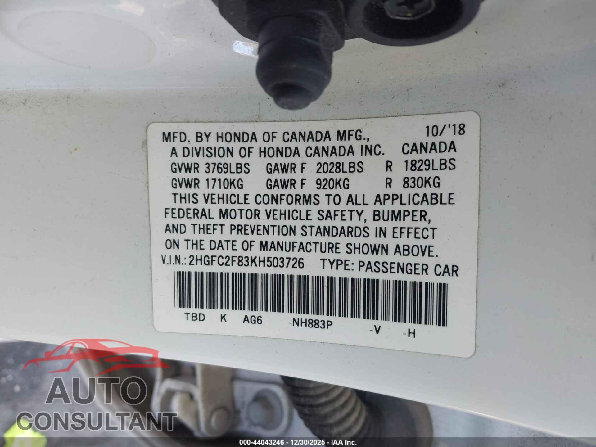 HONDA CIVIC 2019 - 2HGFC2F83KH503726