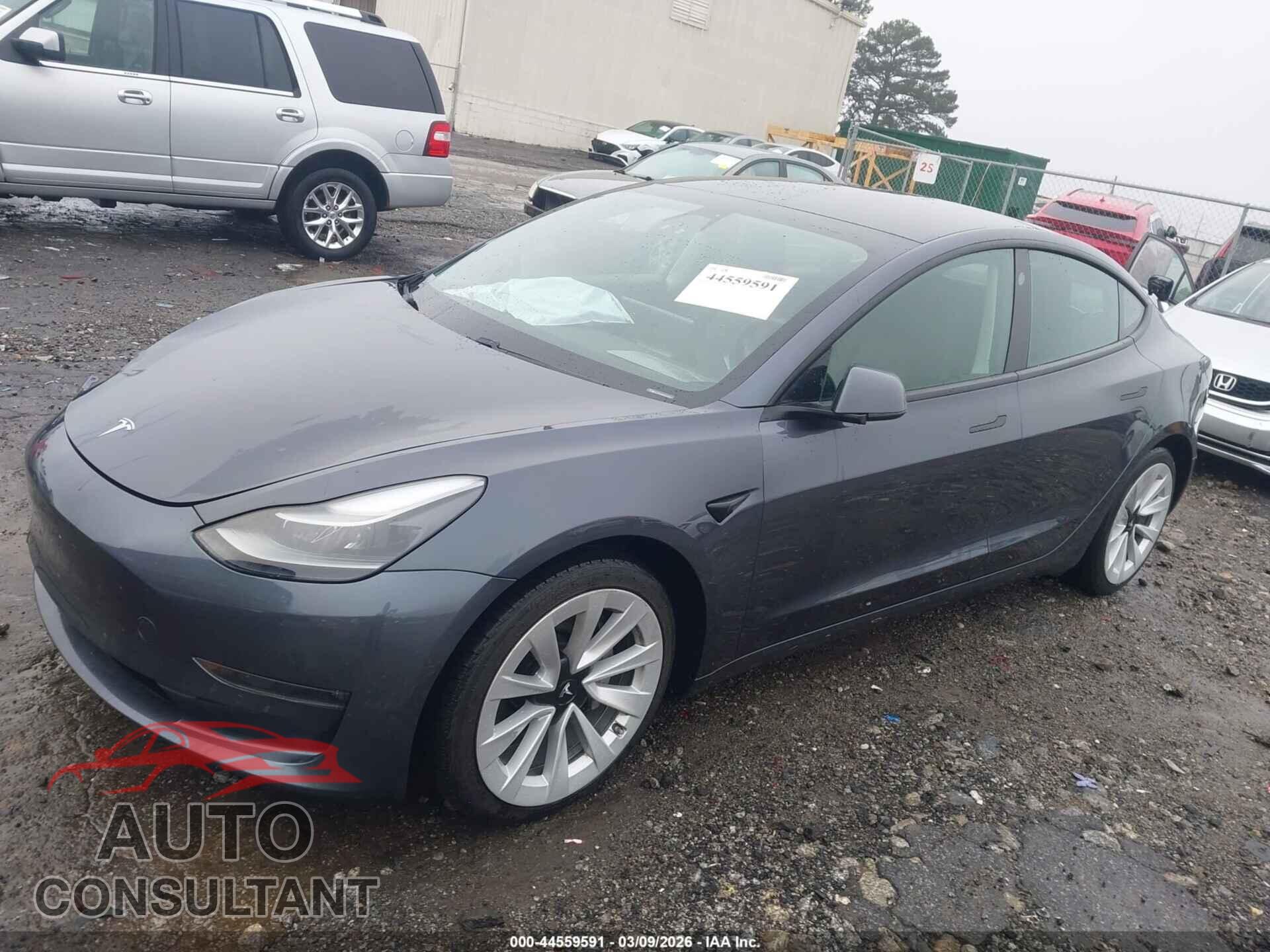 TESLA MODEL 3 2021 - 5YJ3E1EB9MF924281