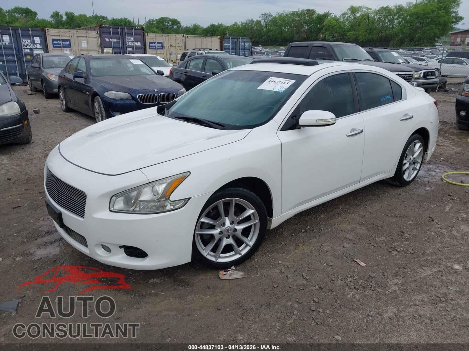 NISSAN MAXIMA 2011 - 1N4AA5AP4BC858654